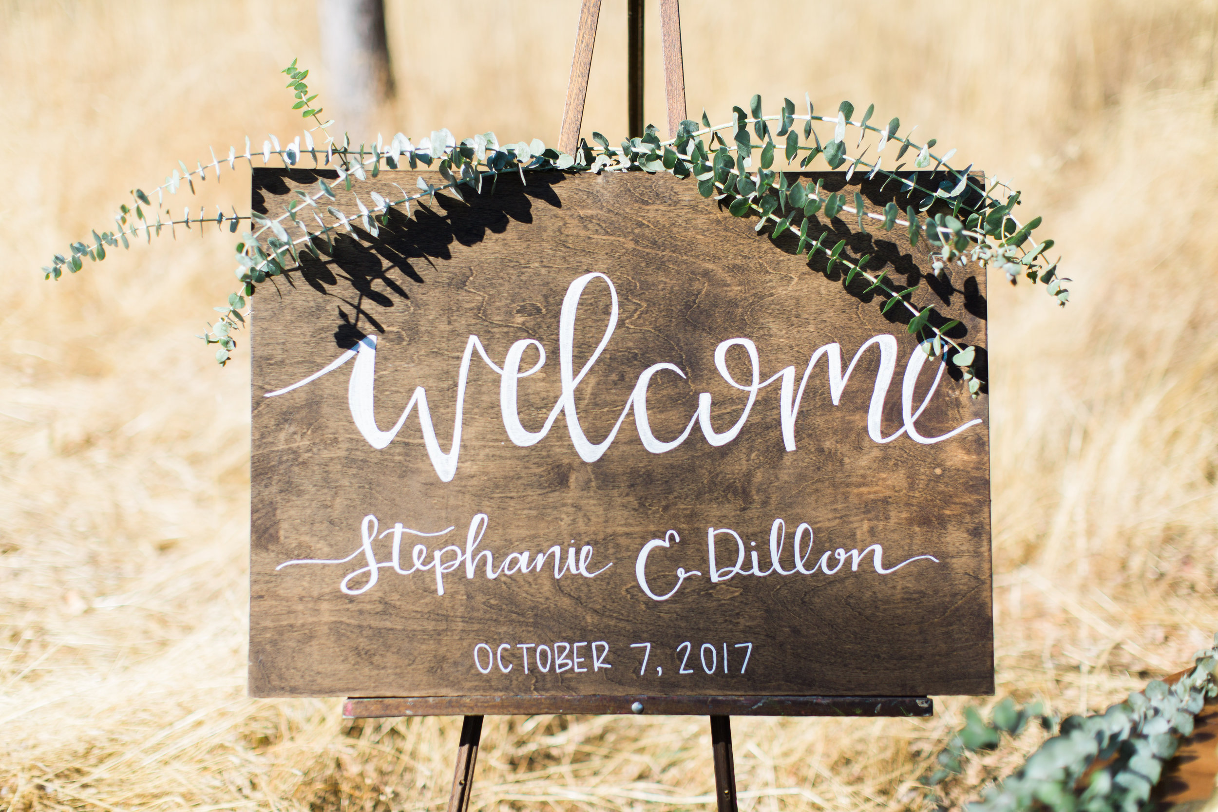 dillon+stephanie-wedding-52.jpg