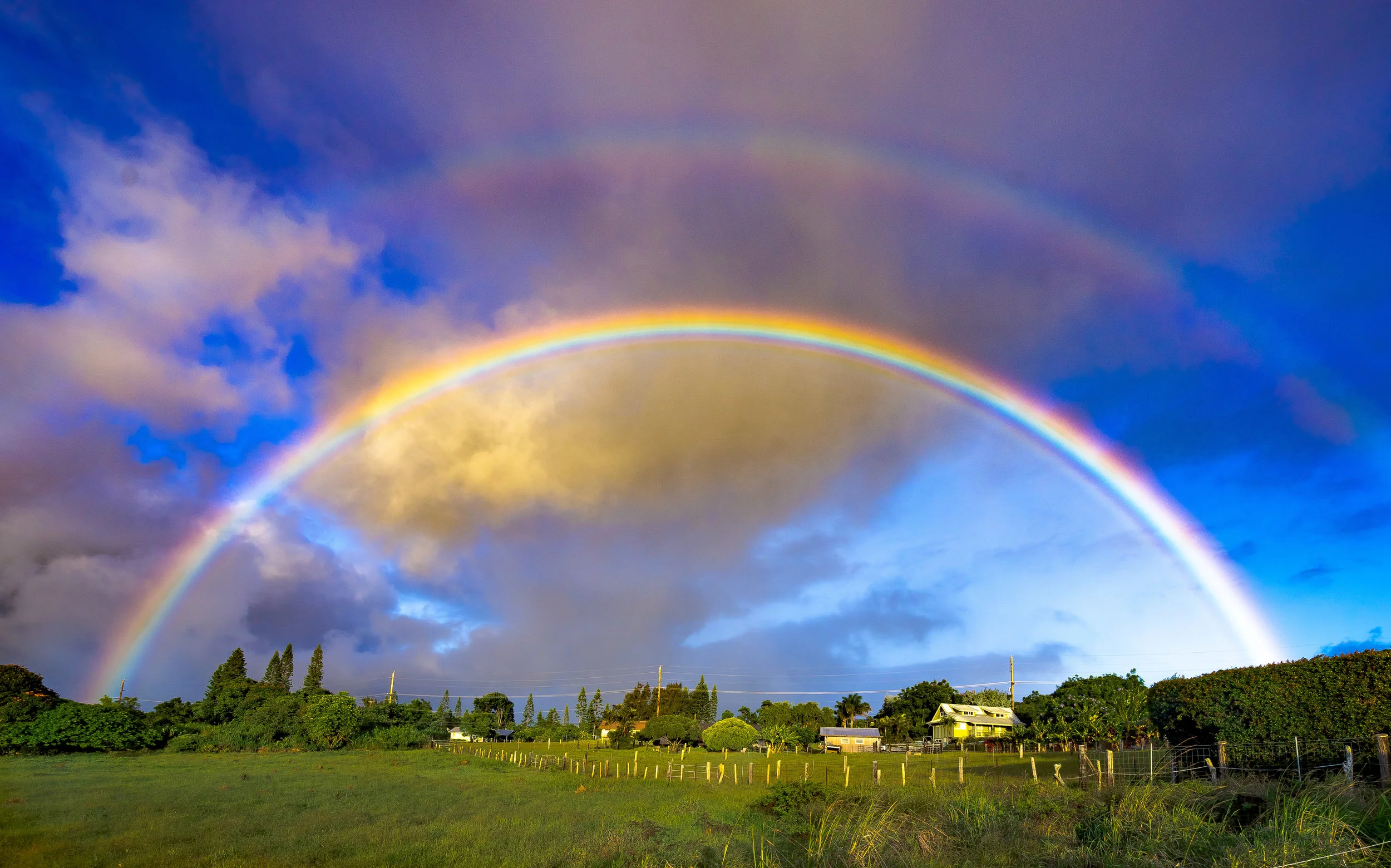 _DSC3540-Edit.jpg