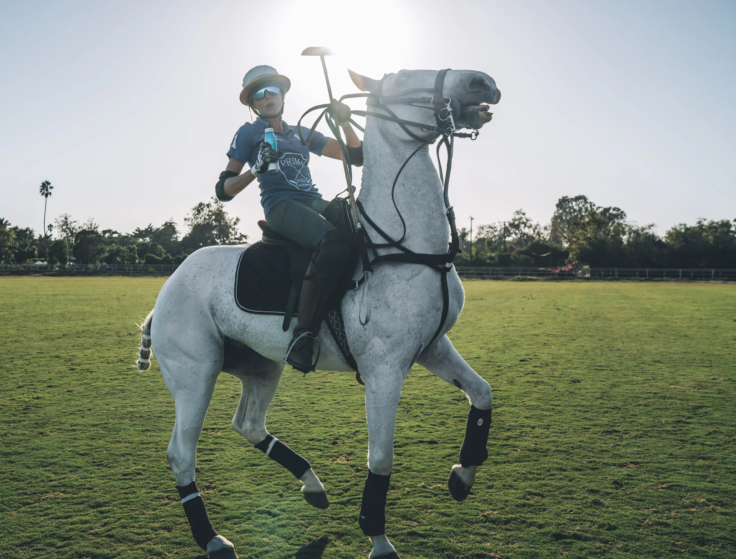 Polo12.jpg