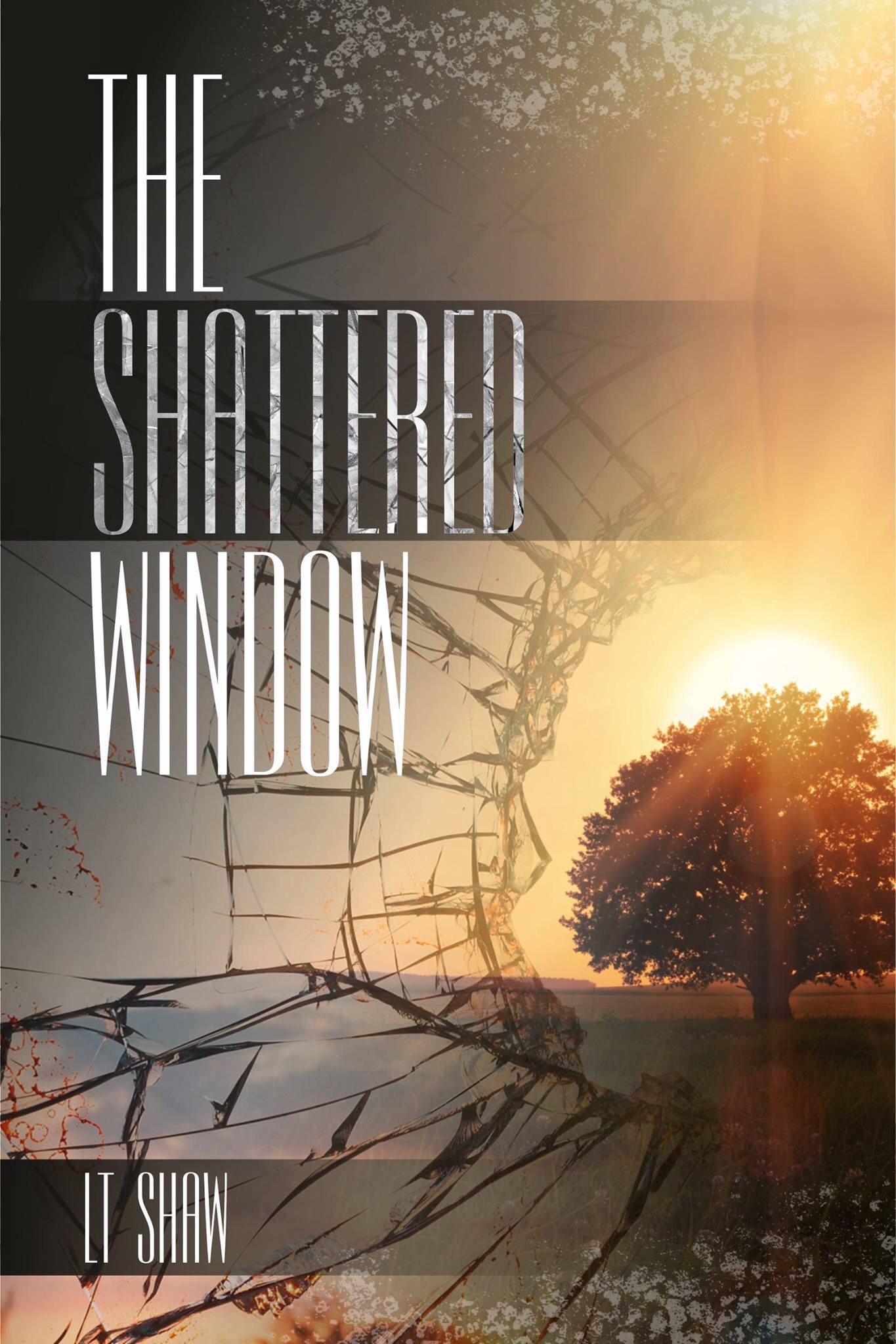 The_shattered_window_160910050919.jpeg