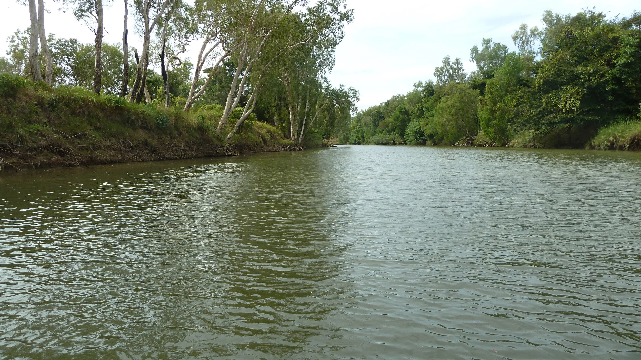 P1050410.JPG
