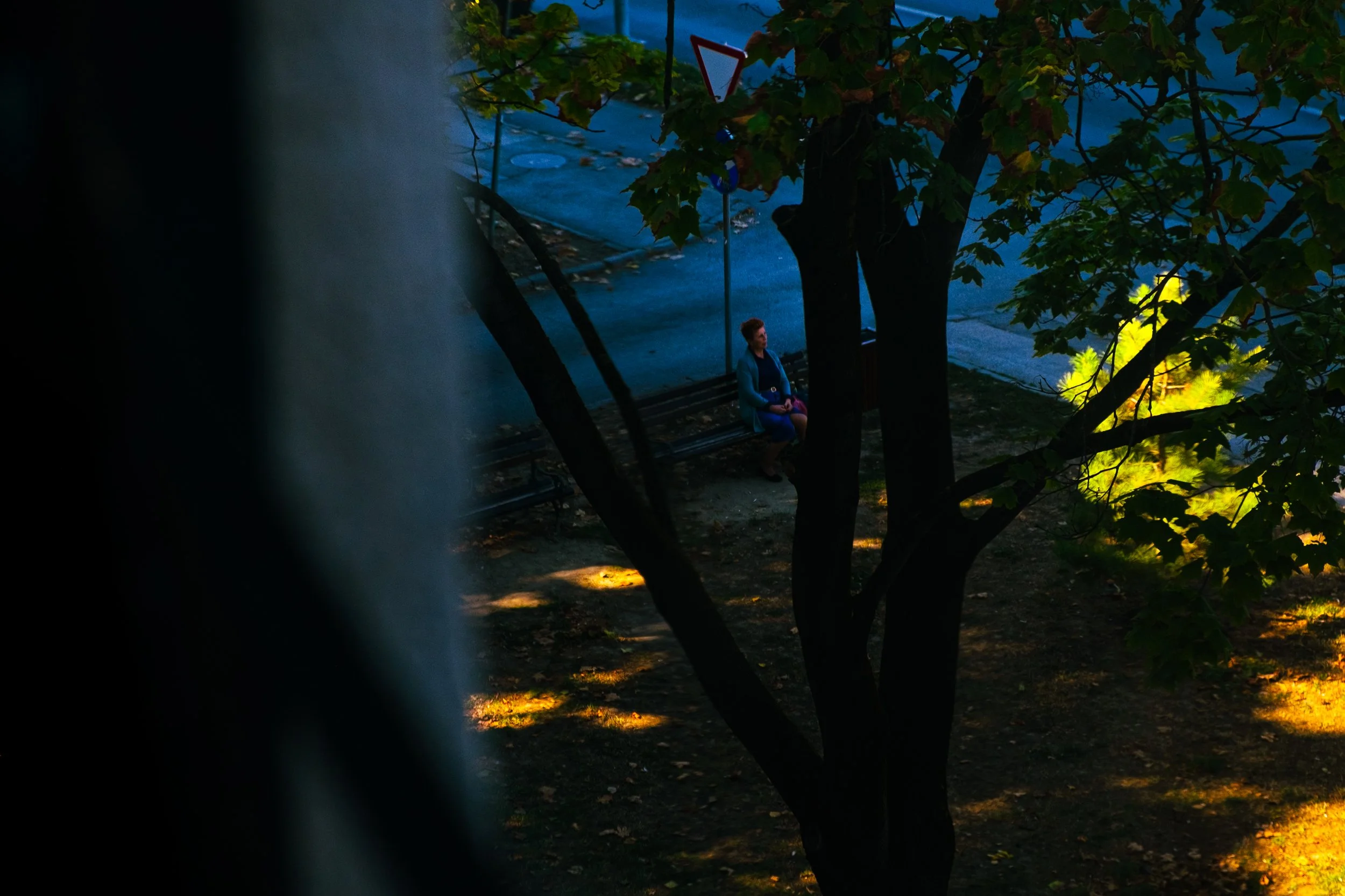 DSCF0014.jpg