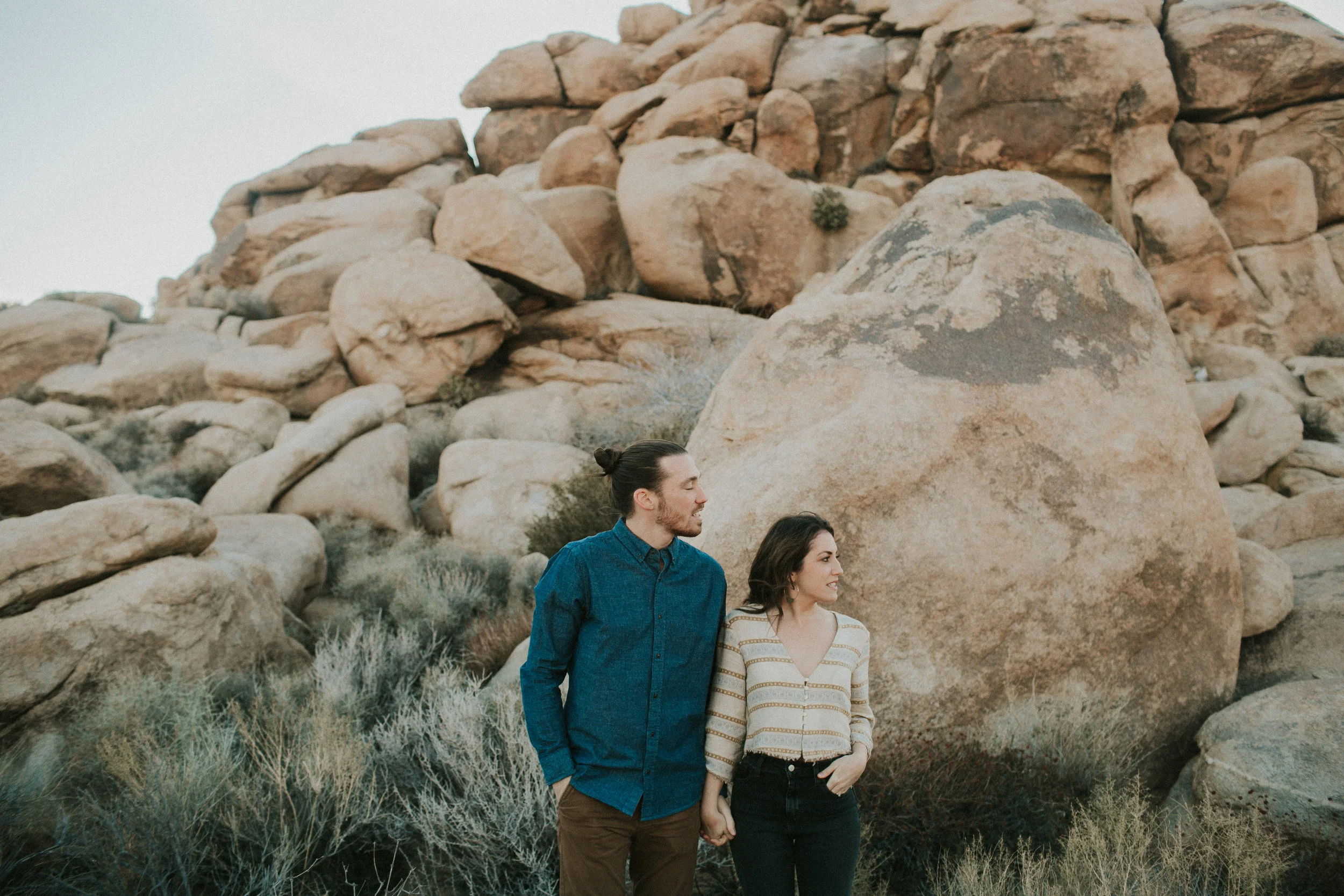 joshua-tree-website-9.jpg
