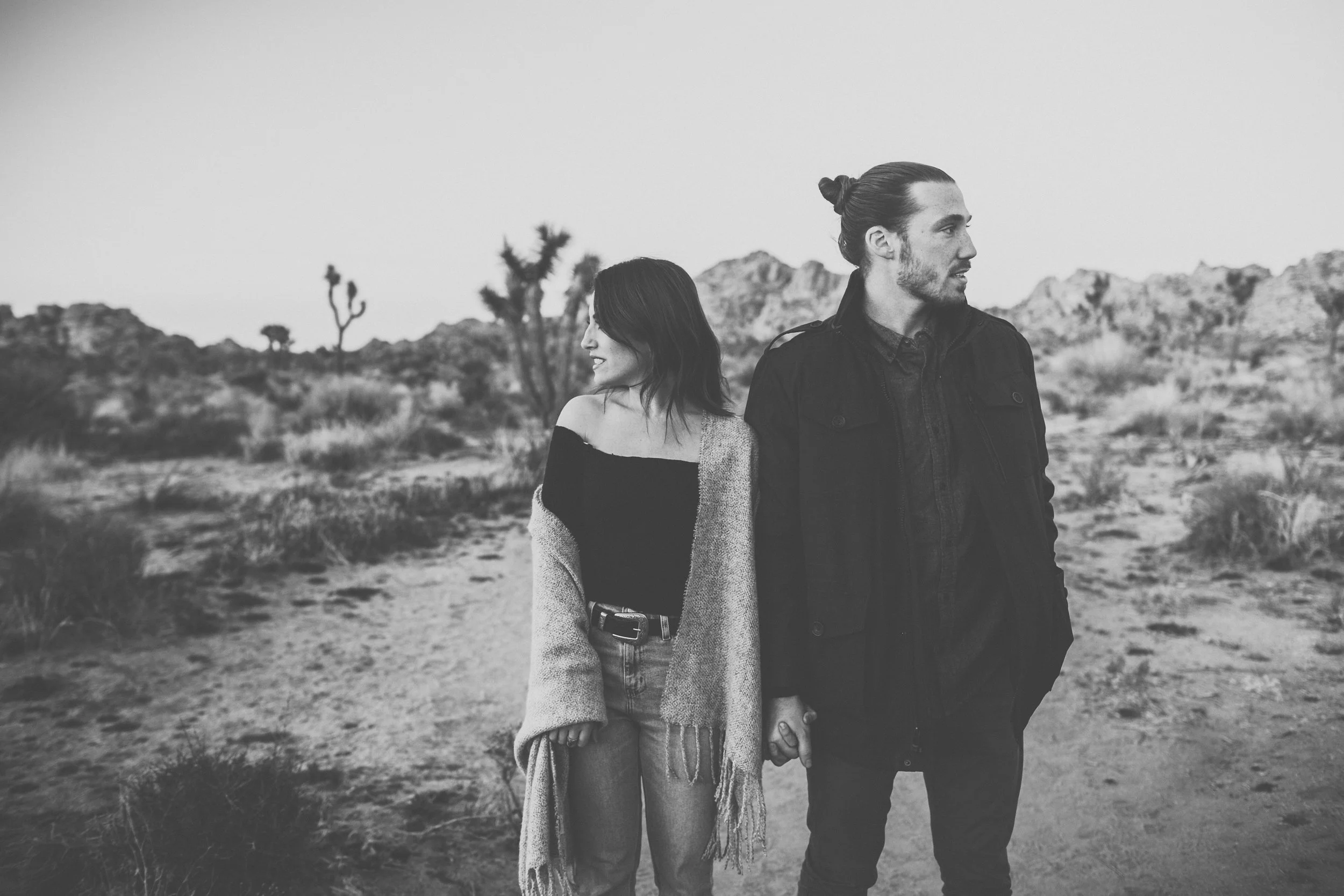 joshua-tree-website-13.jpg