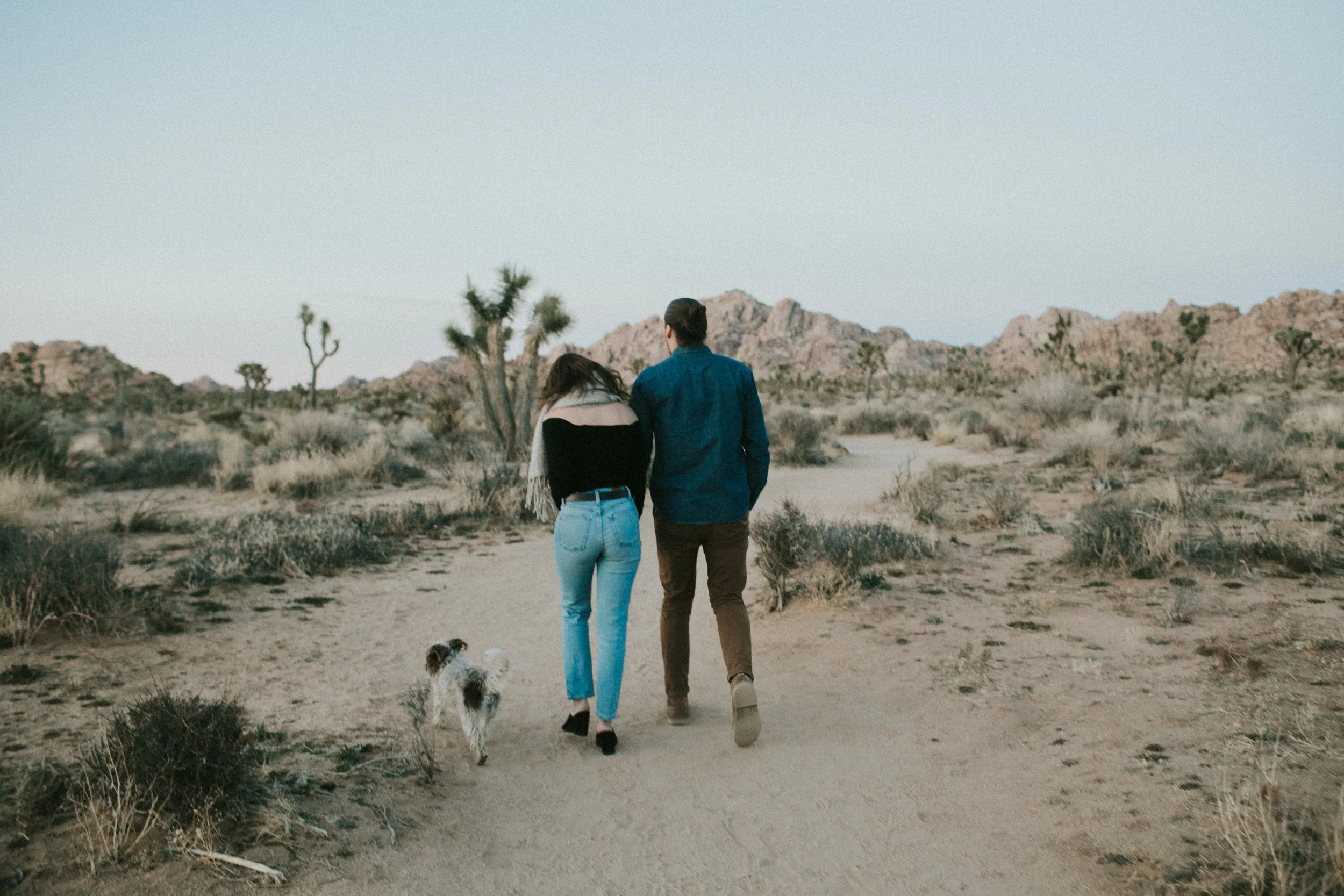joshua-tree-website-19.jpg