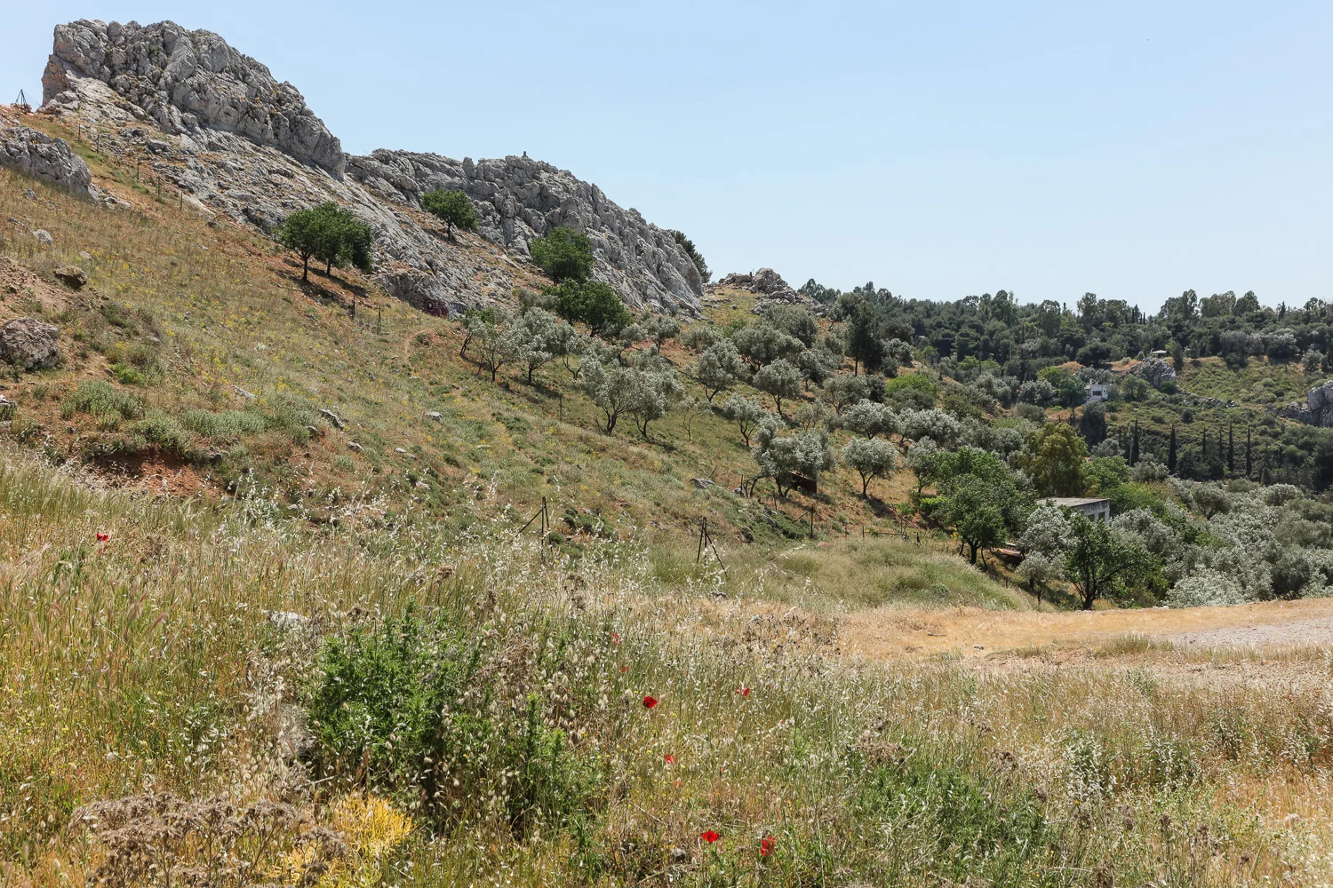 180428-monumenta-007.jpg