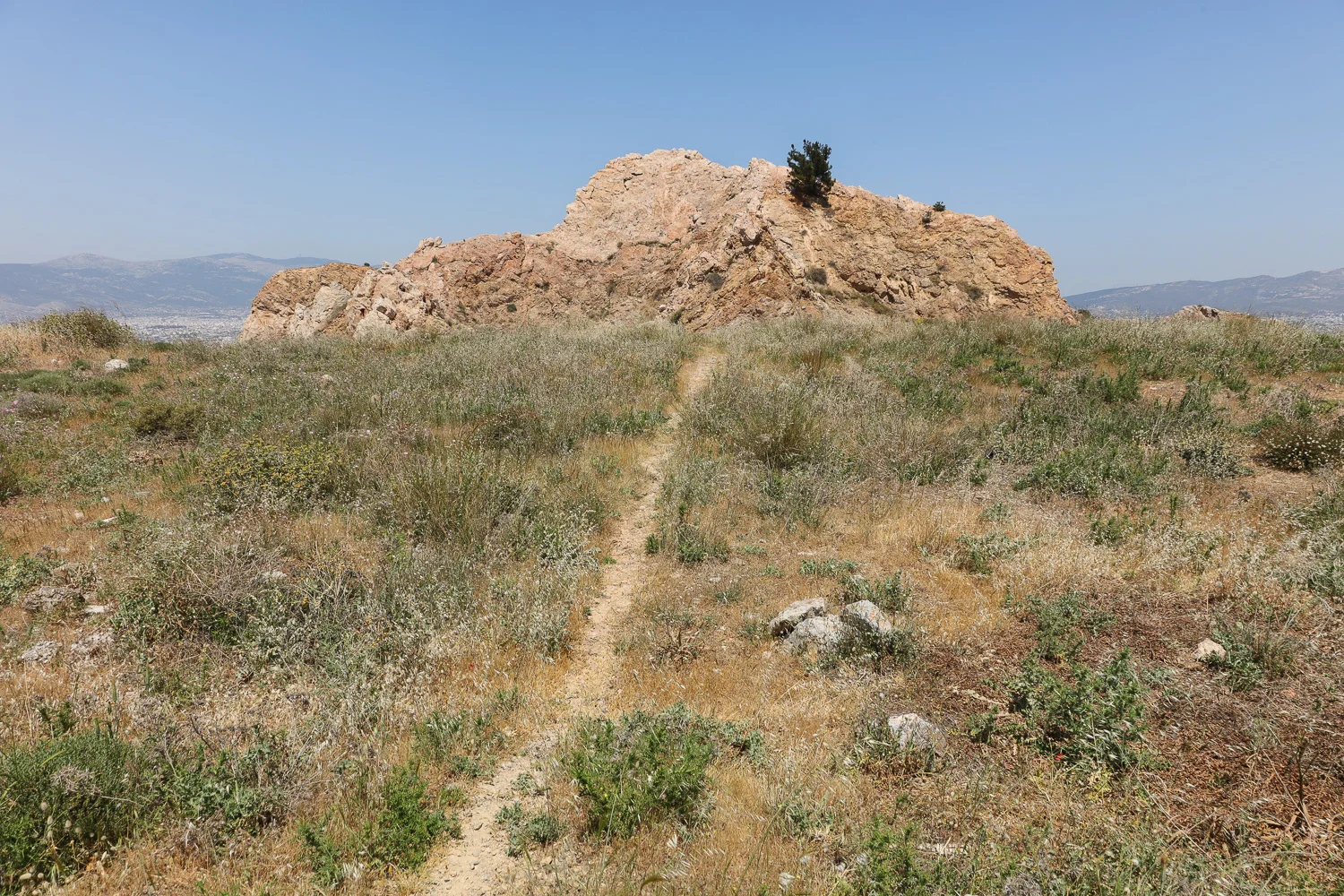 180428-monumenta-008.jpg
