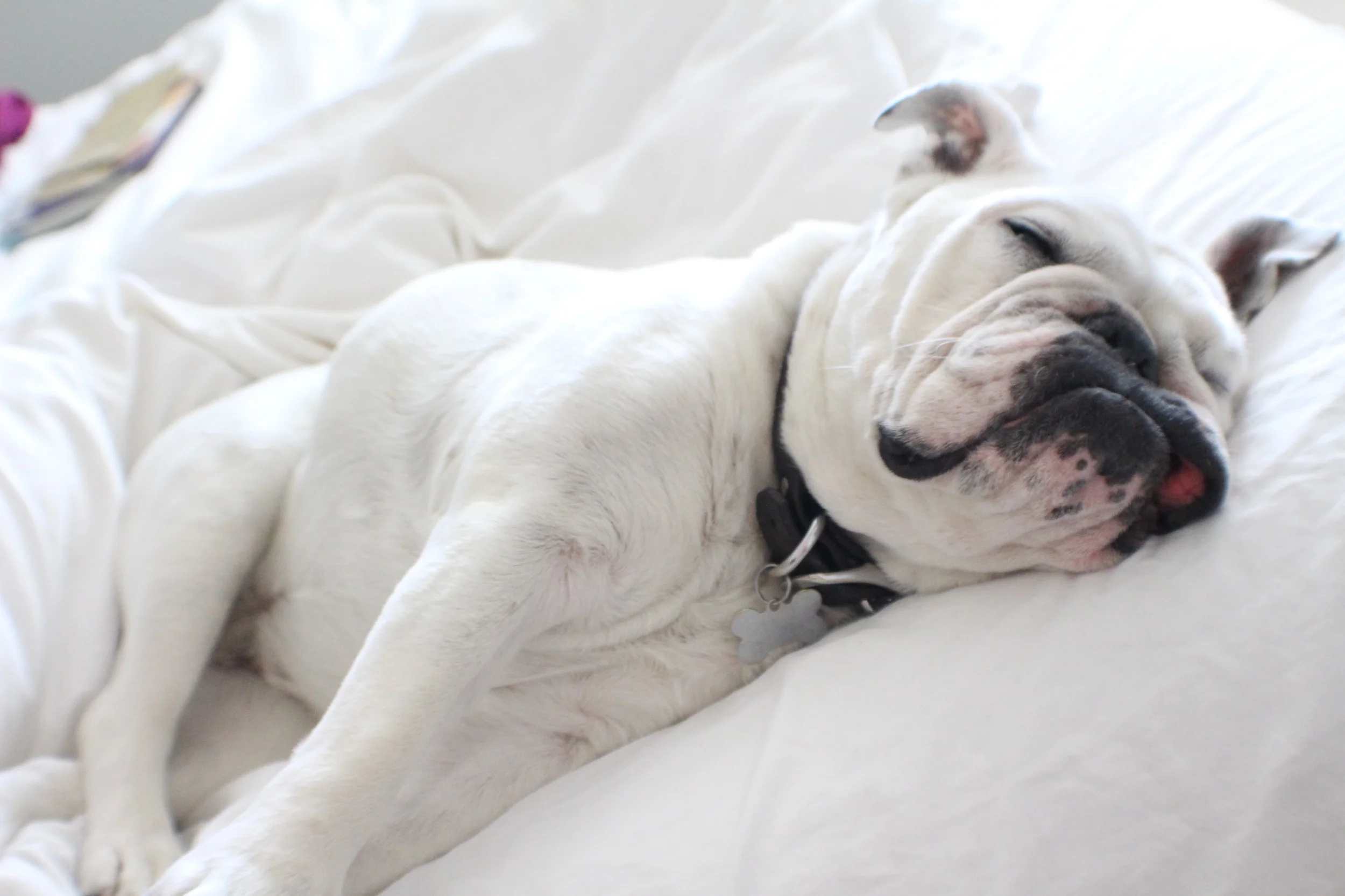 Scenes from Memorial Day Weekend