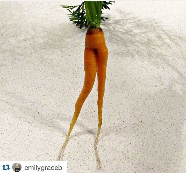 "#MyKidCantEatThis fresh carrot from the garden because it has legs."