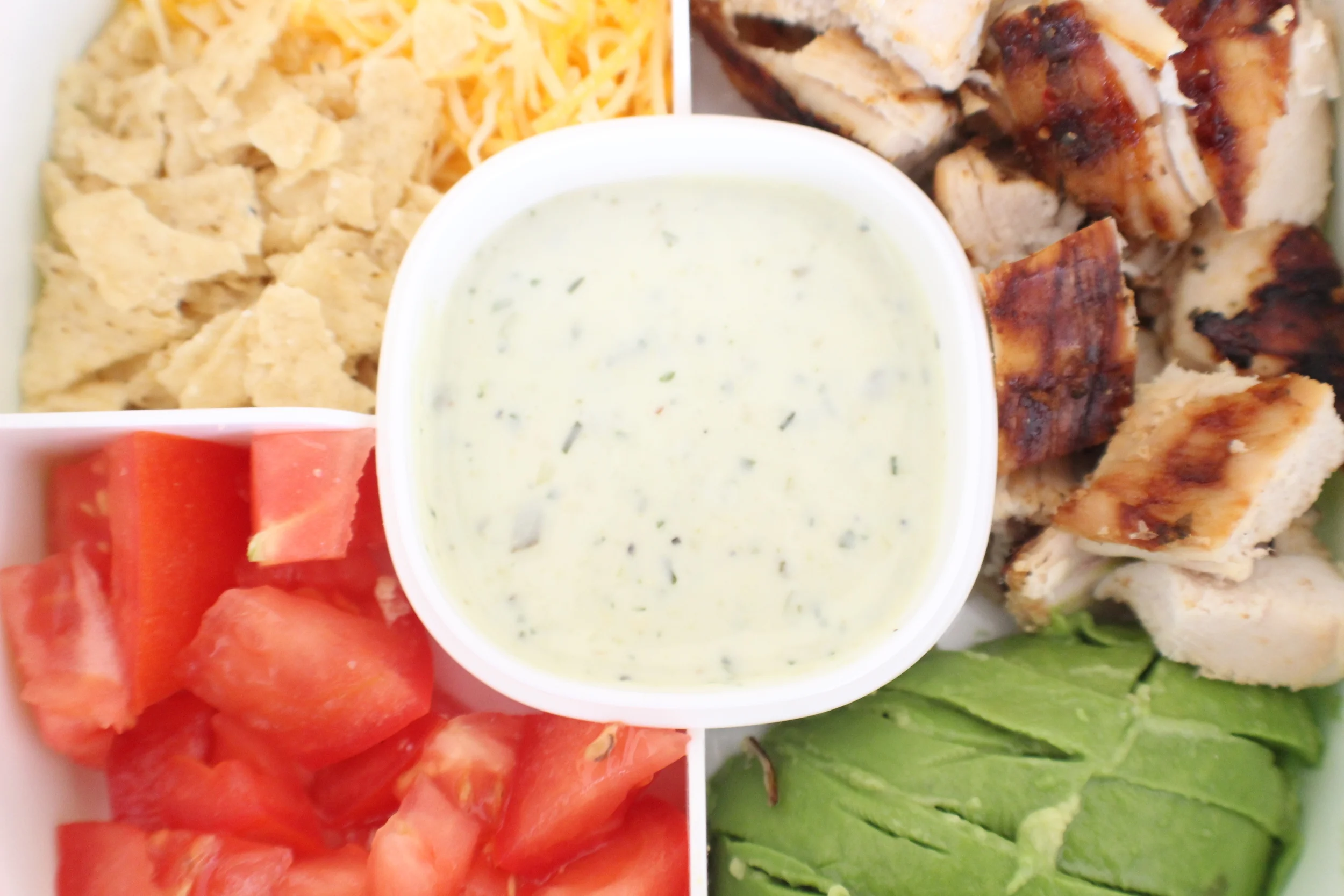 A Healthy Lunch with Bentgo