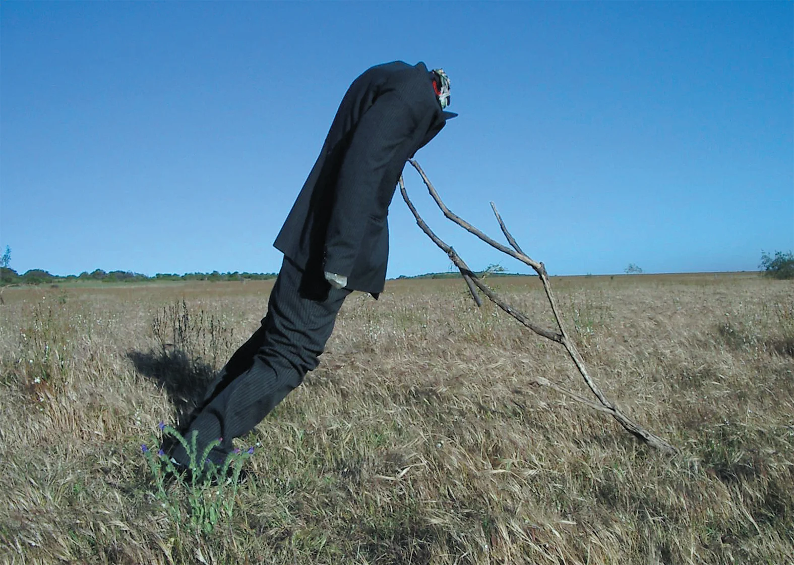 Falling Limbs Series (detail), (with Pearl Rasmussen), 2002