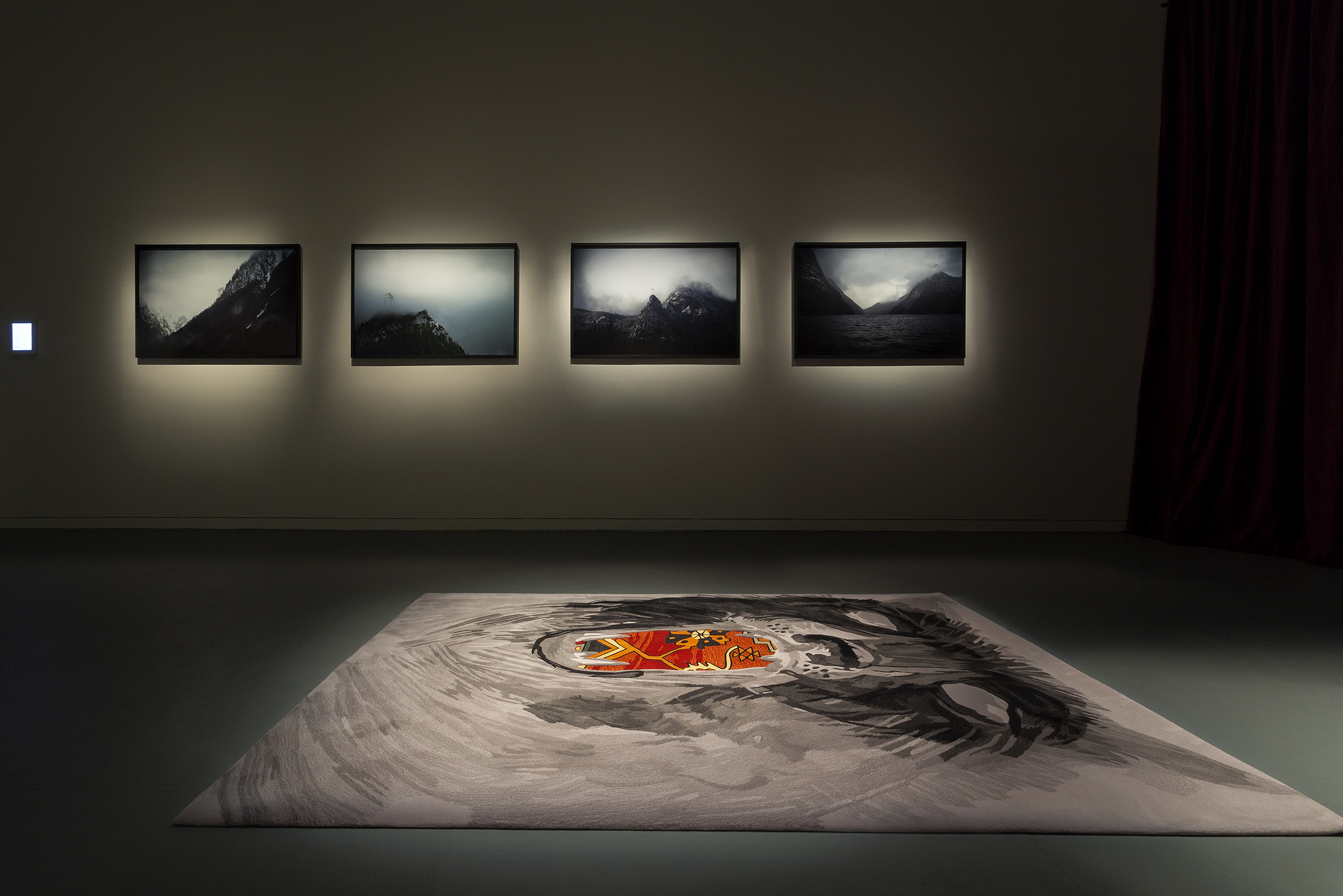 Partial view of installation, 2015
