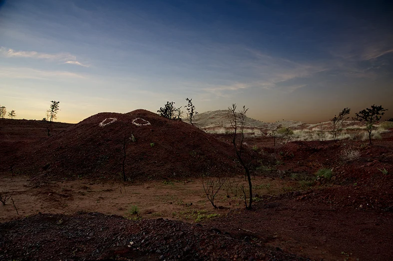 'Pilbara Guide' by Tarryn Gill, 2015