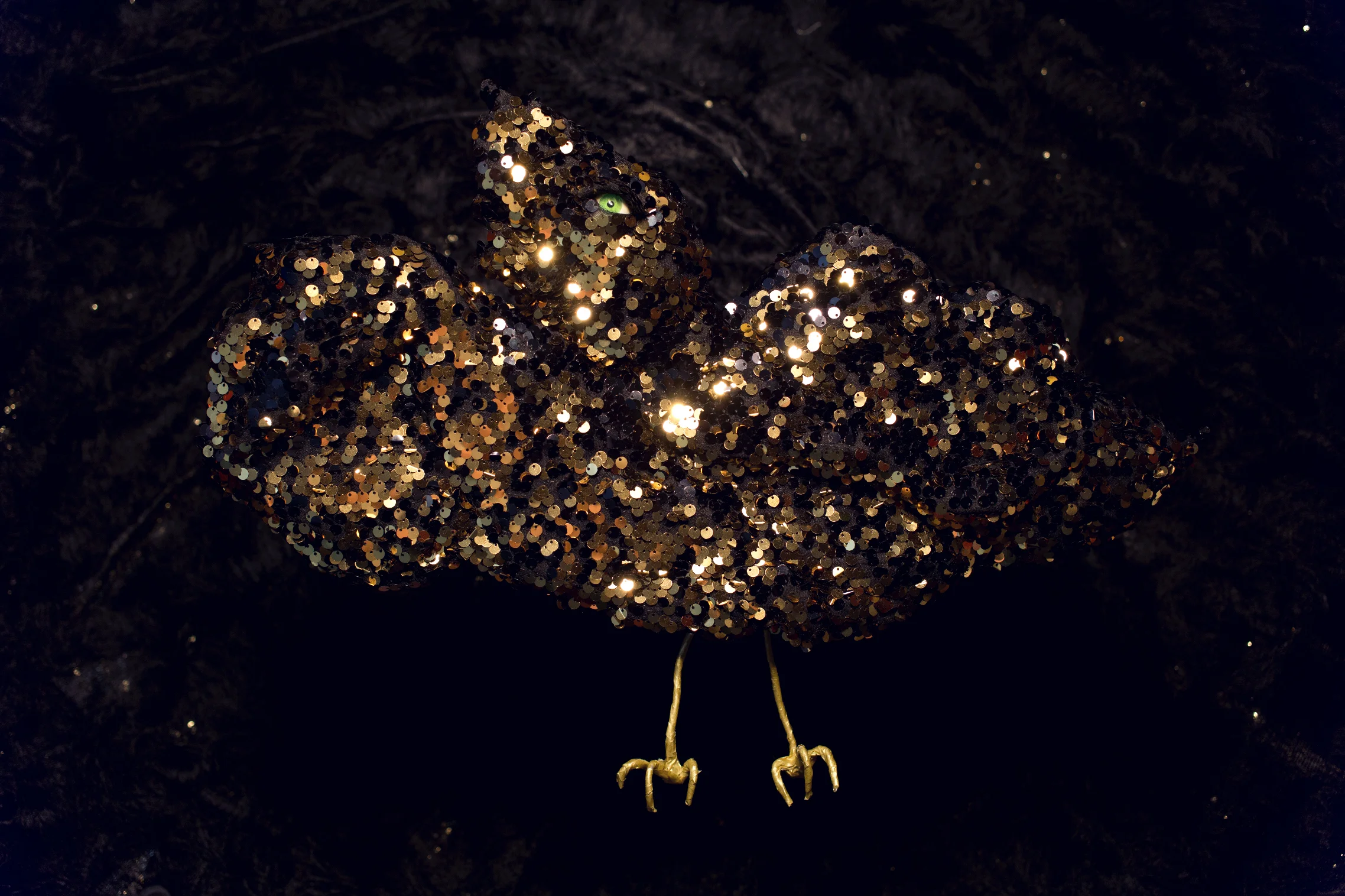 'Golden Eagle' by Tarryn Gill, 2016