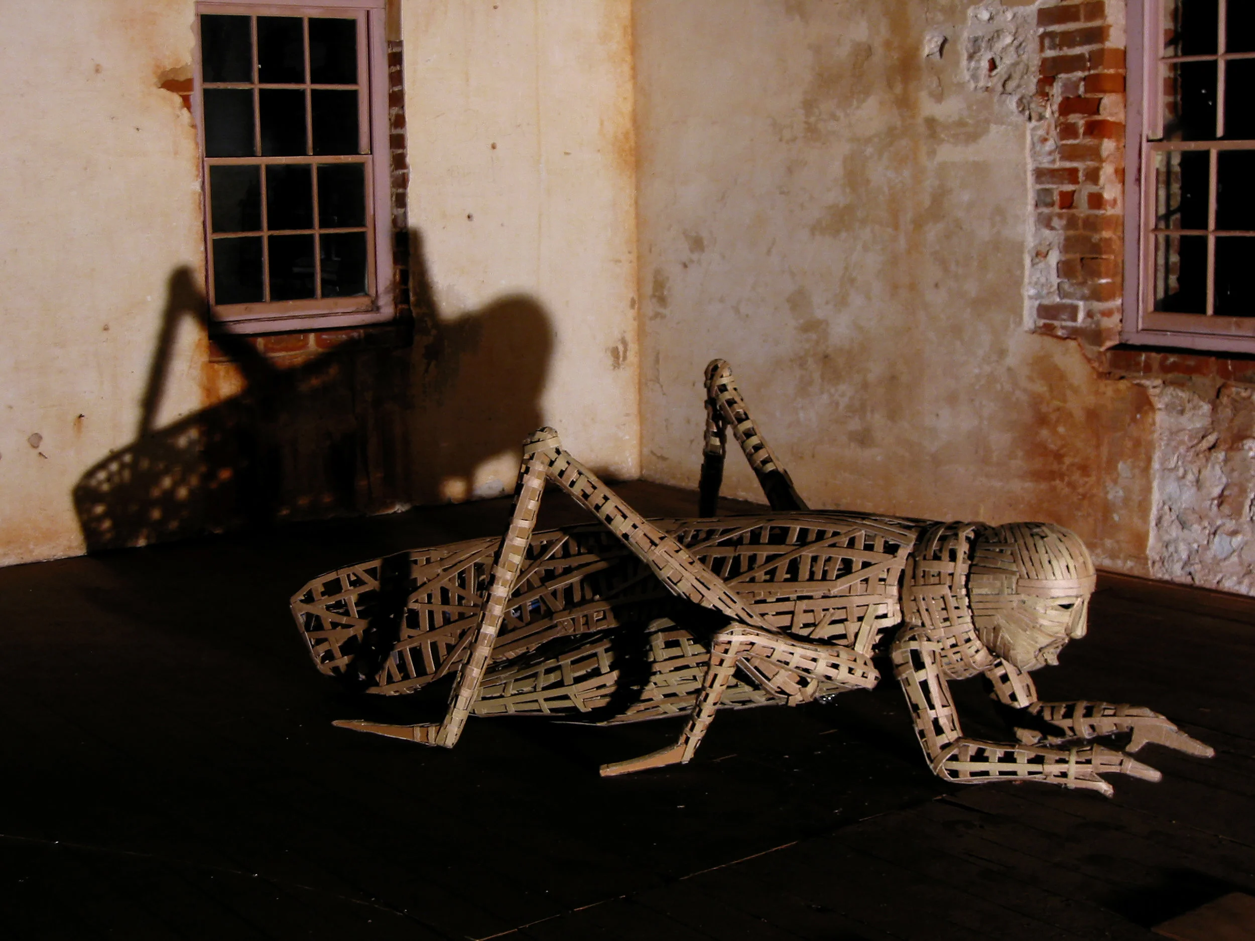 'Locustman', Susan Flavell, 2002