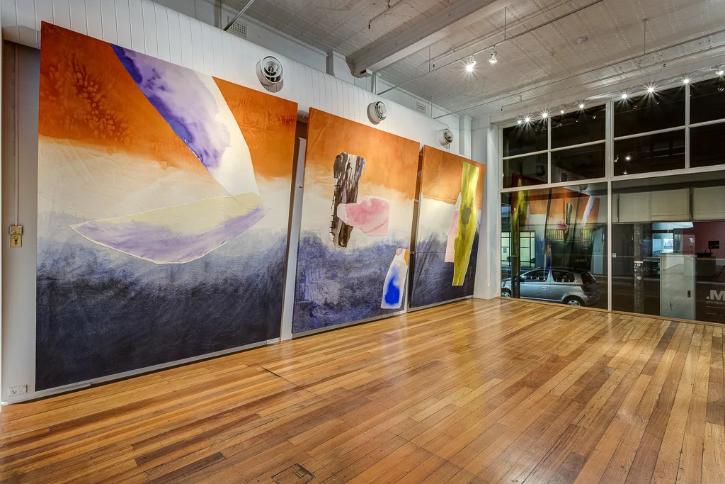 Installation view of 'Visitants - close encounters with remote Western Australia', with works by Penny Coss, 2017.