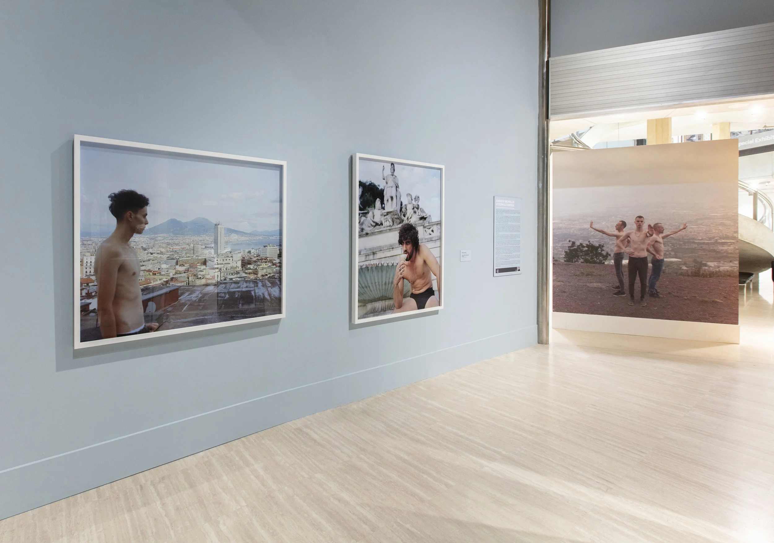'Hyperkulturemia', partial view of installation, 2018