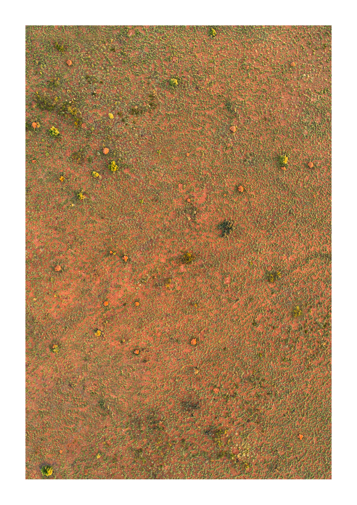 week8_print1.png