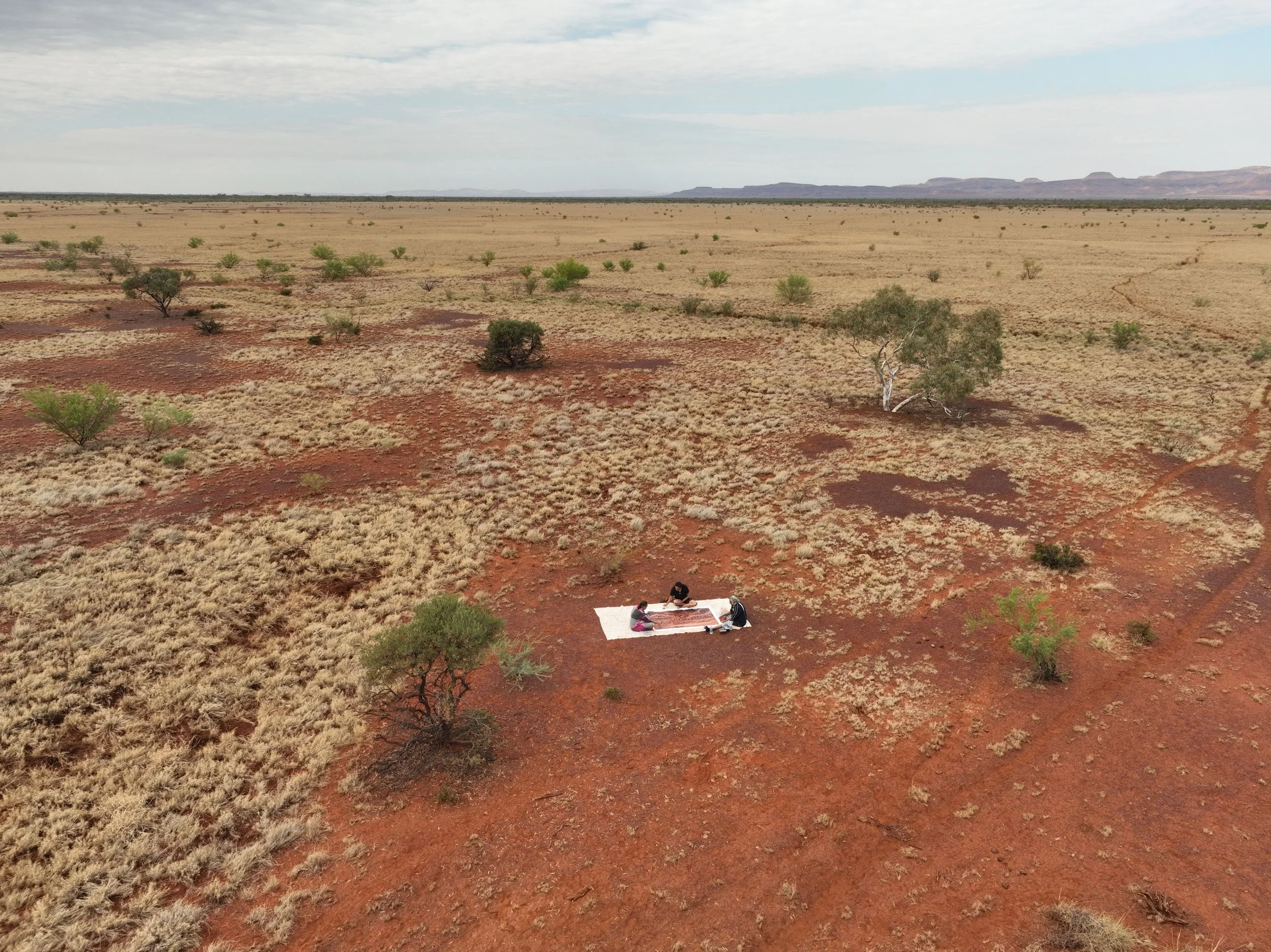 DJI_0109.jpg