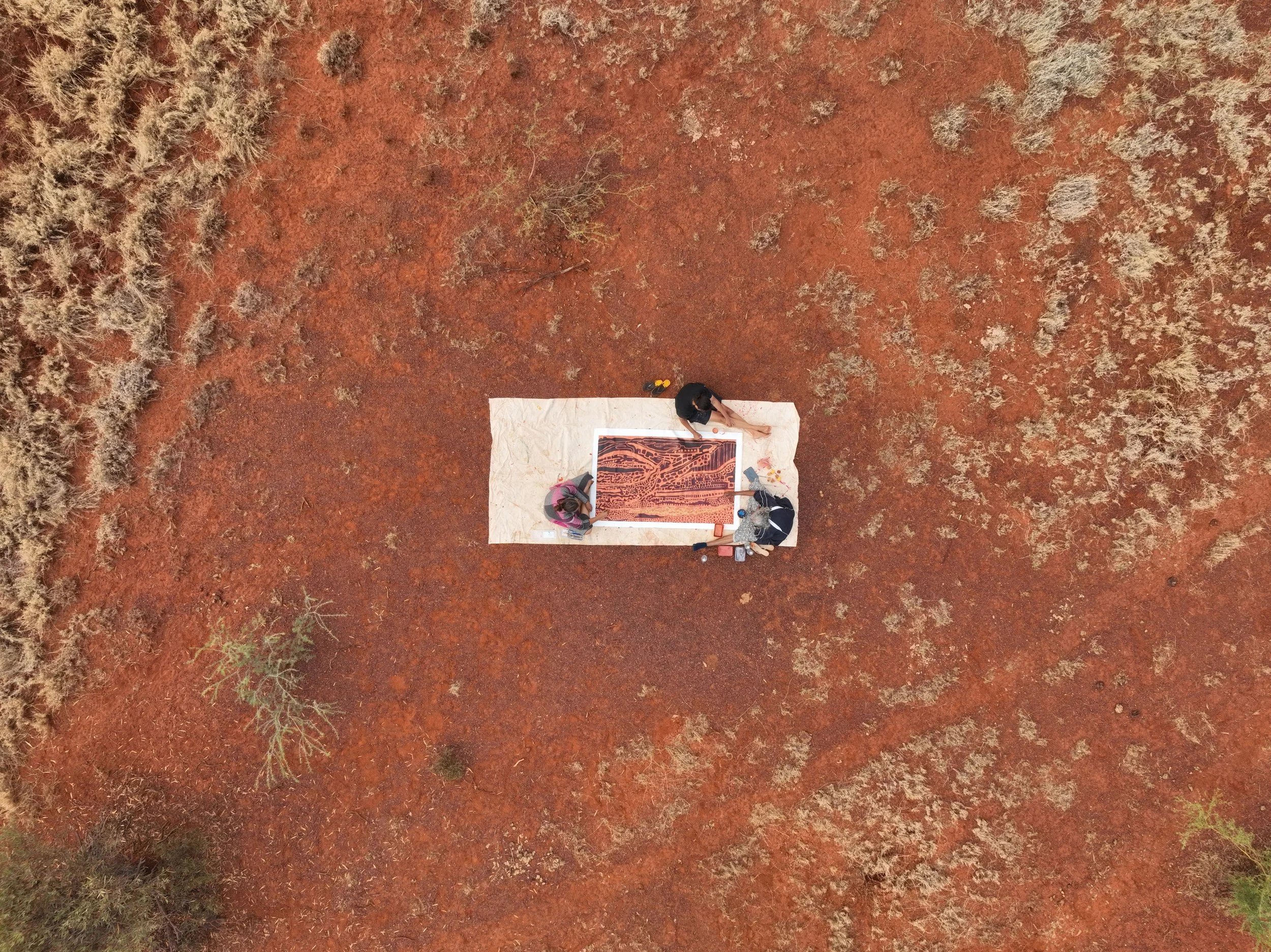 DJI_0113.jpg