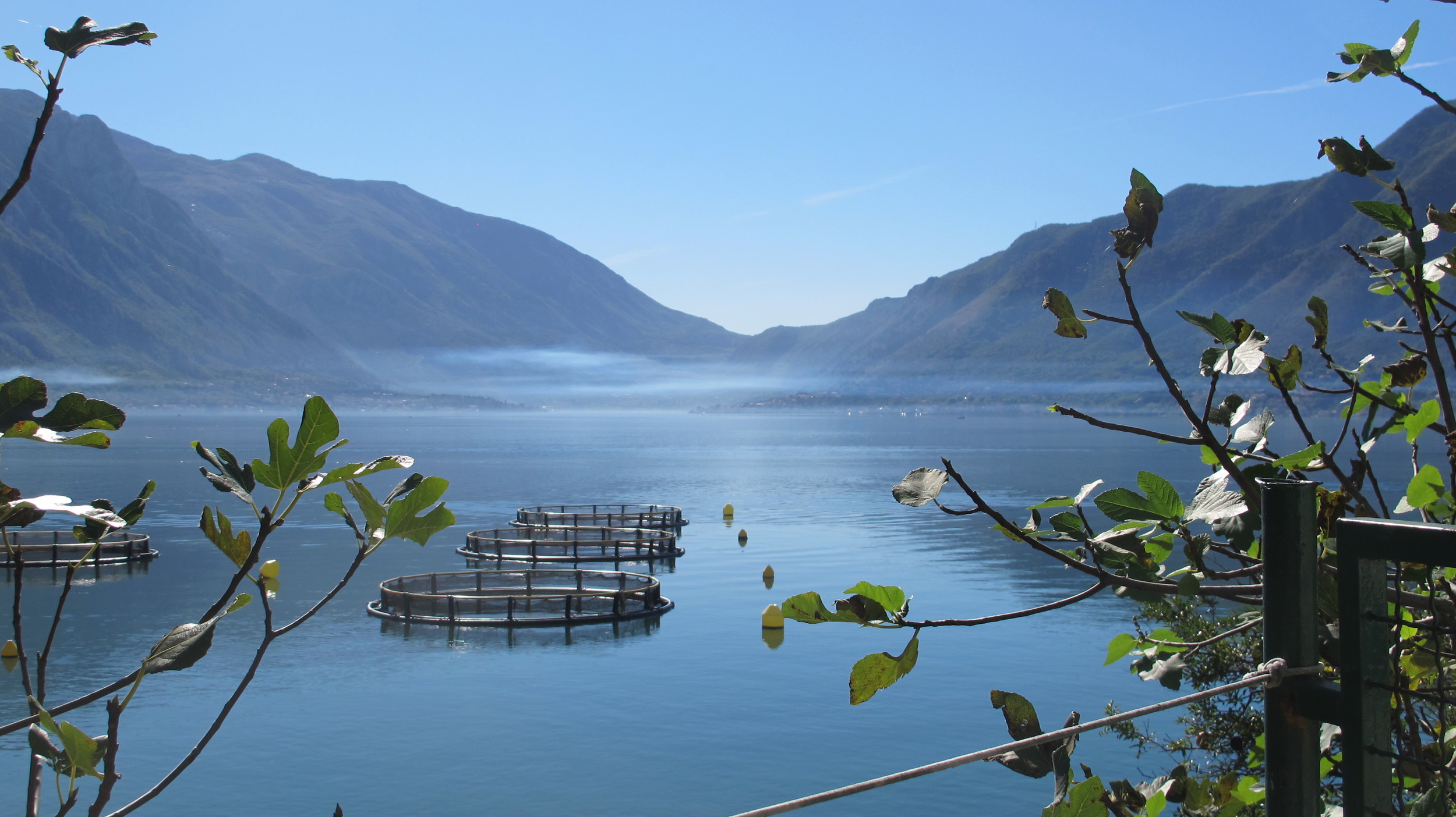Boka Bay, Montenegro