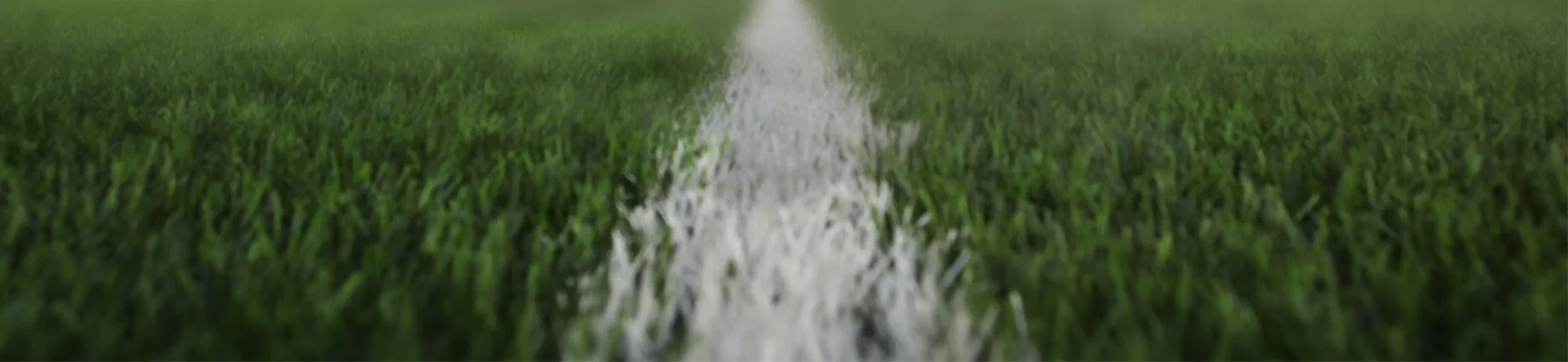grass.jpg