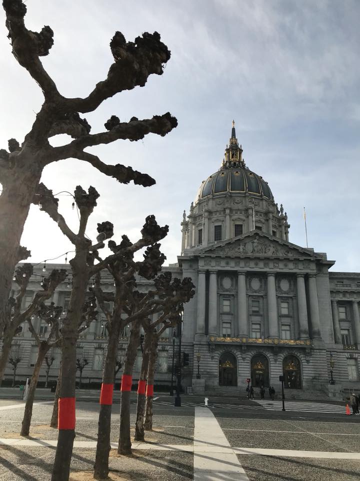 American Roadtrip 48 Hours in San Francisco 2