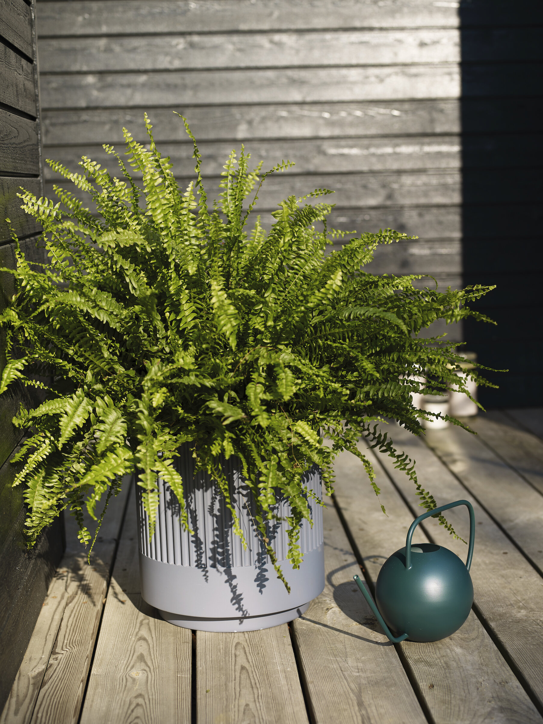 Teal Metal Watering Can 