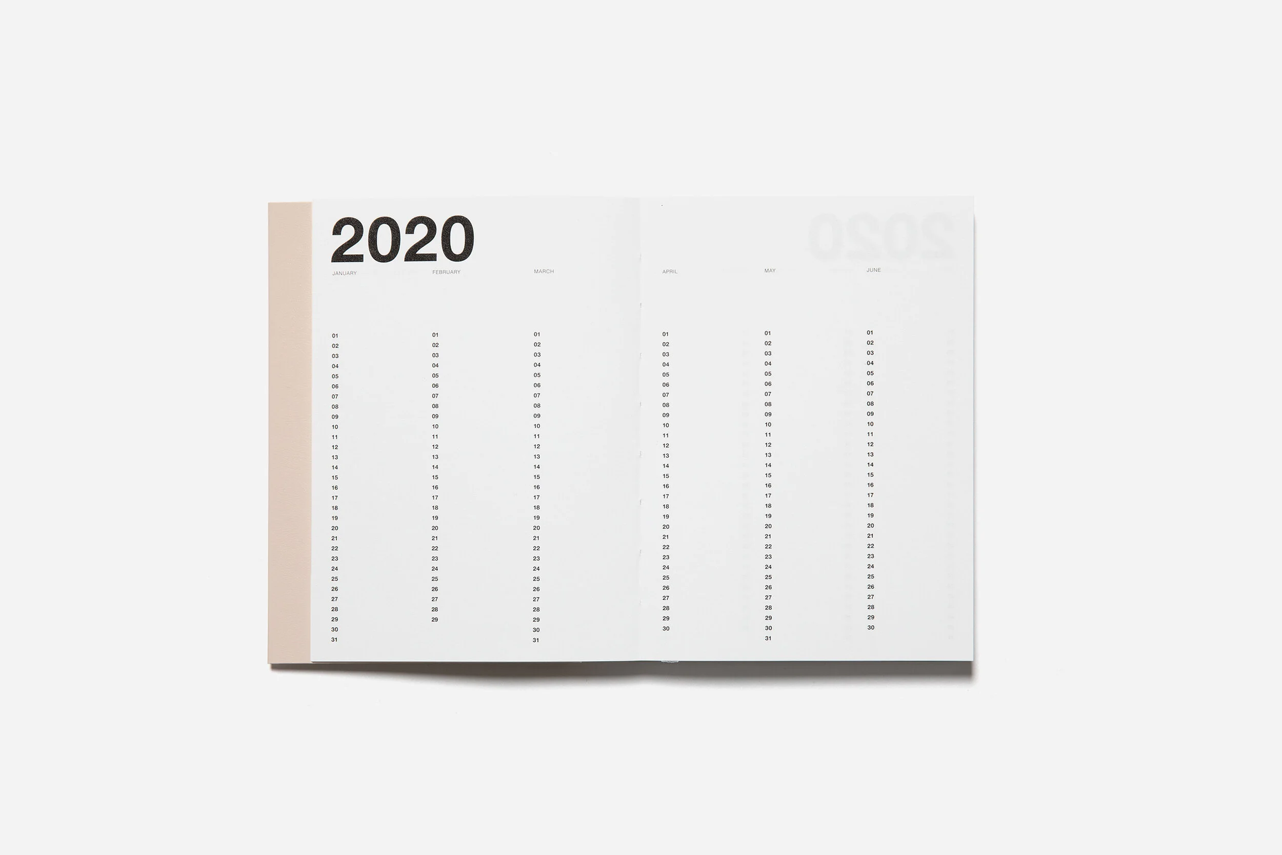 Classic-Diary-POWDER_Spread-Year-Planner.jpg