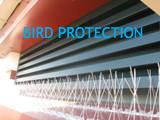 bird protection sml txt.jpg
