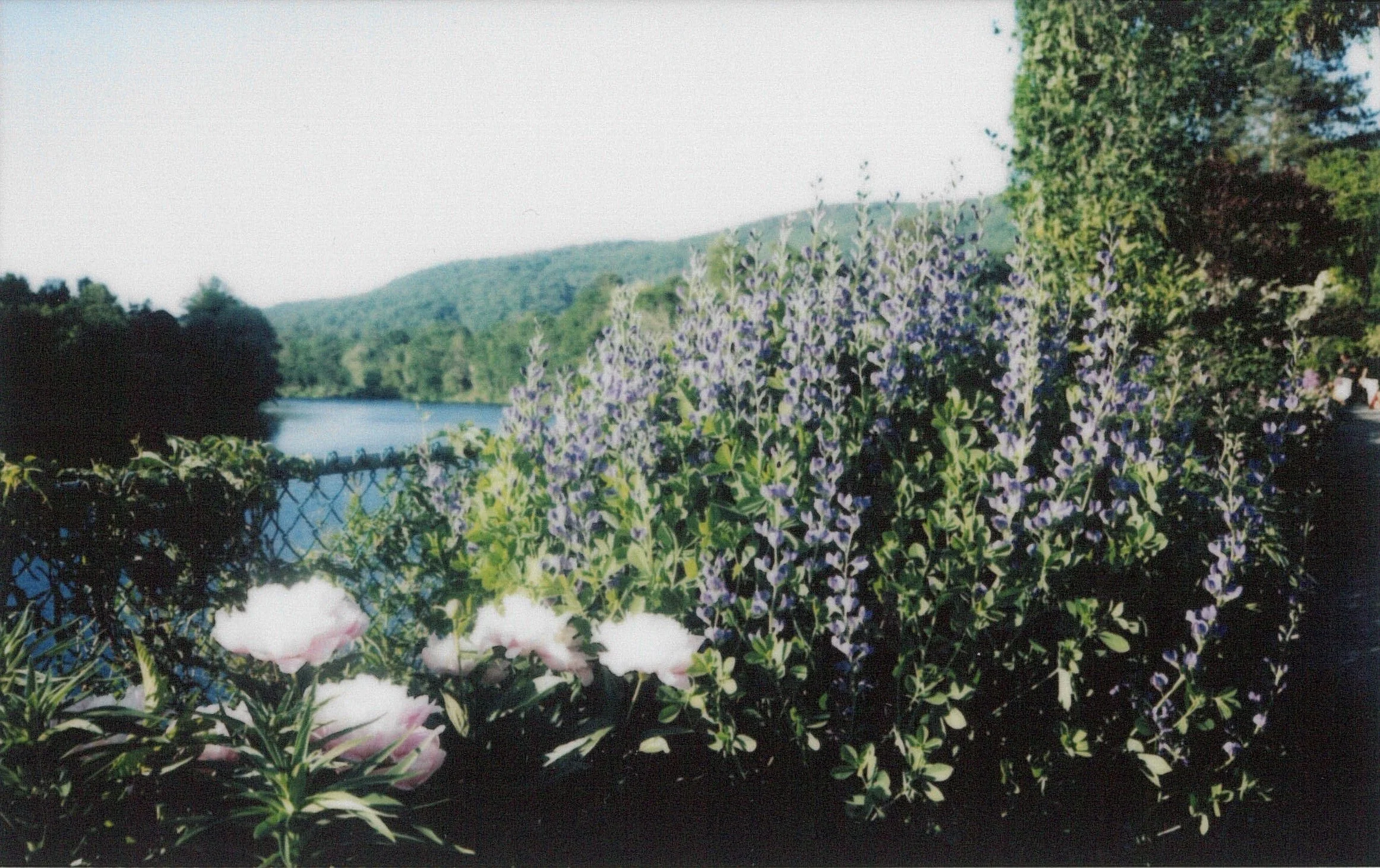 bridge of flowers.jpg