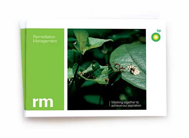 BP-RM-Cover.jpg