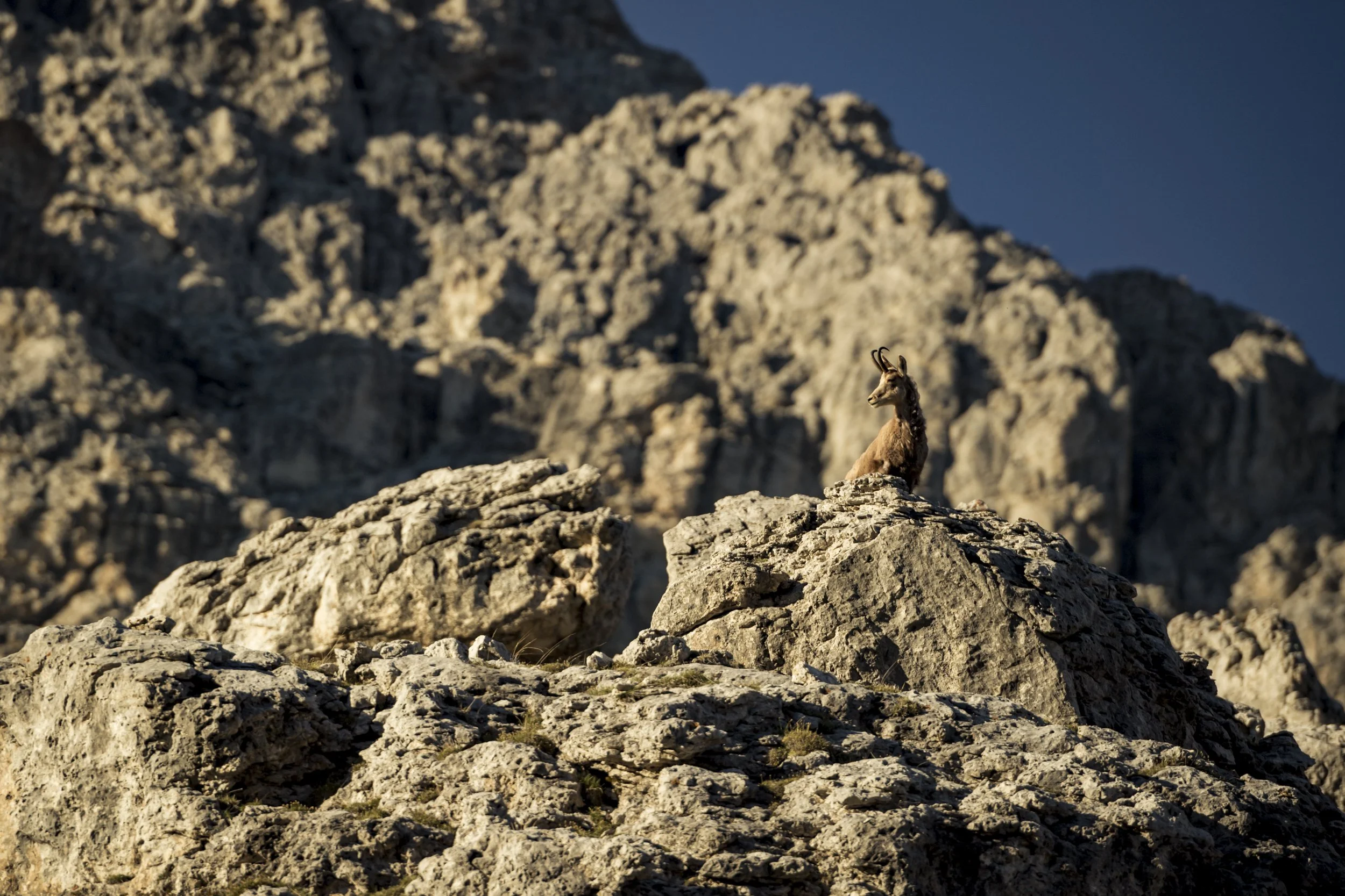 PGEC210614_Cyclingtips_AltaBadia_0107.jpg