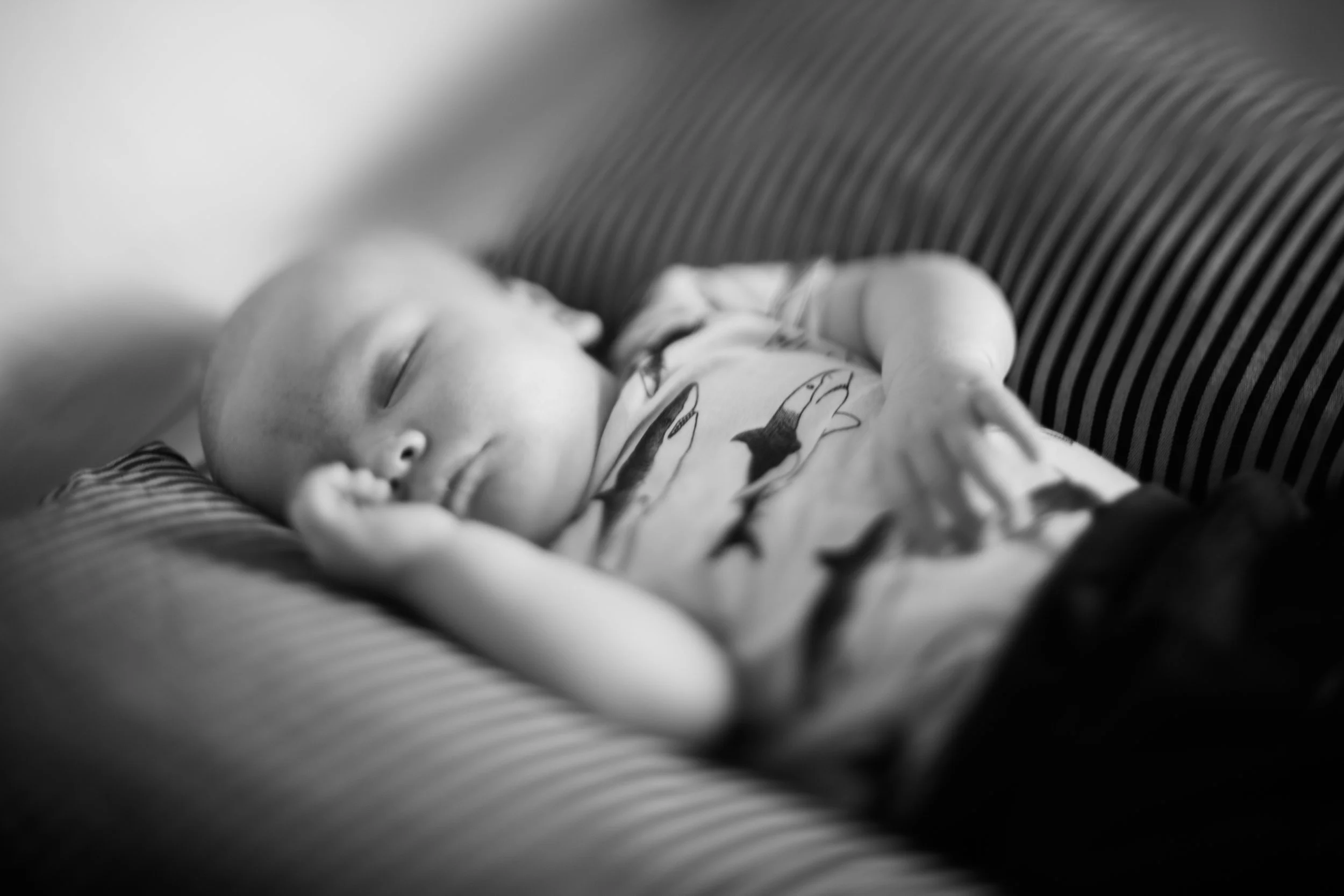 20160813_Bergman_Ingrid_2414_2.jpg