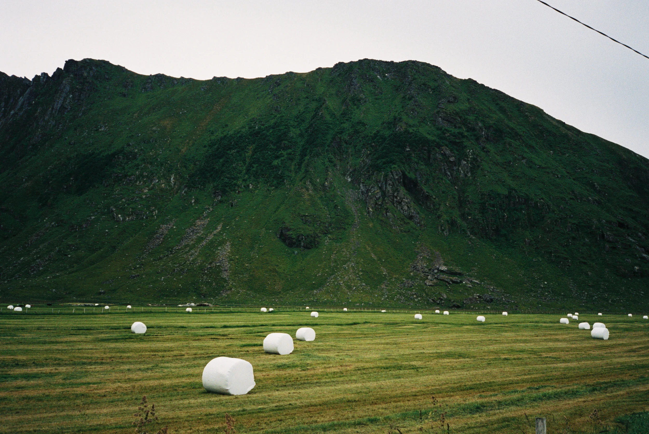 Bergman_Ingrid_A04528_025.jpg