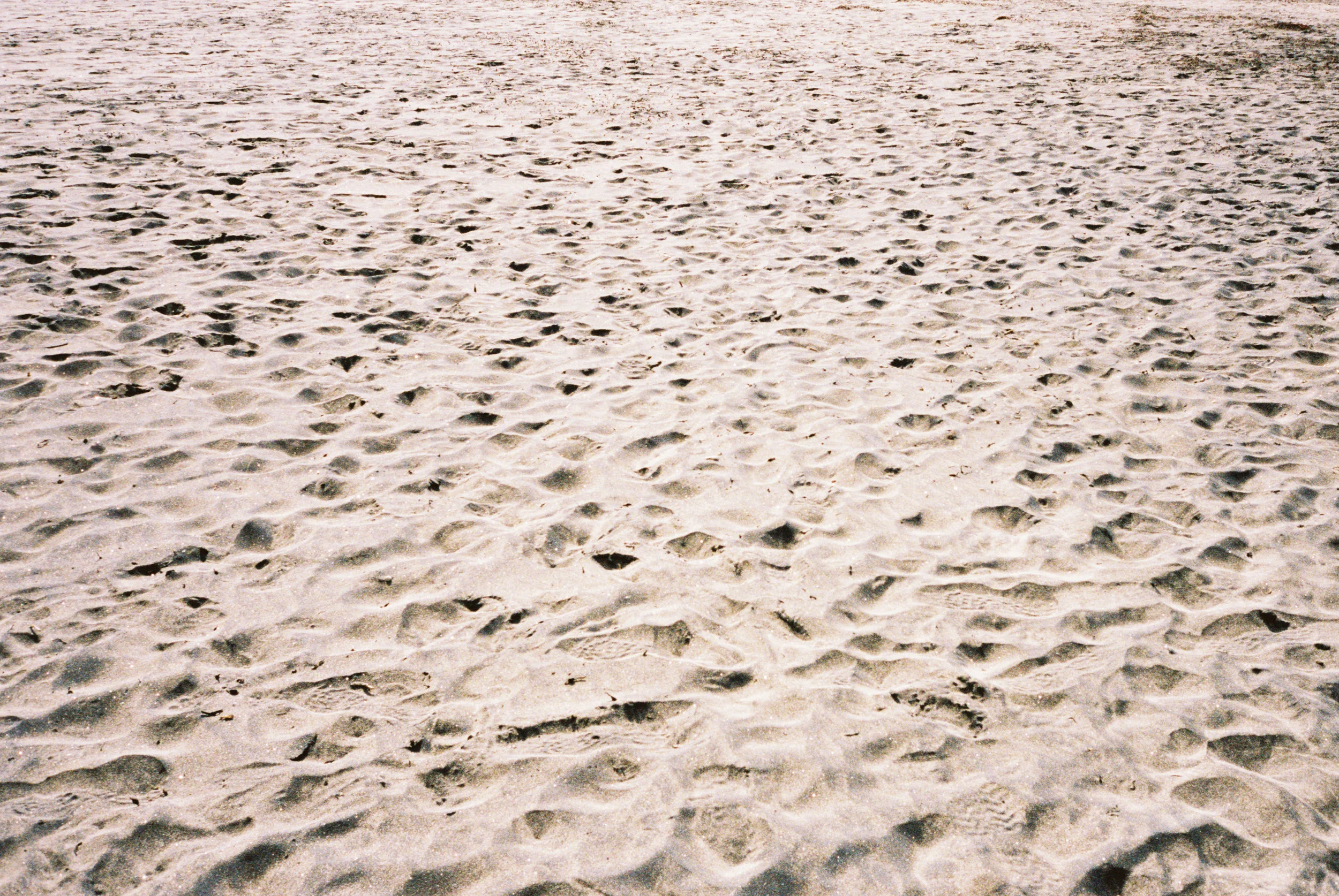 Bergman_Ingrid_A04529_017.jpg