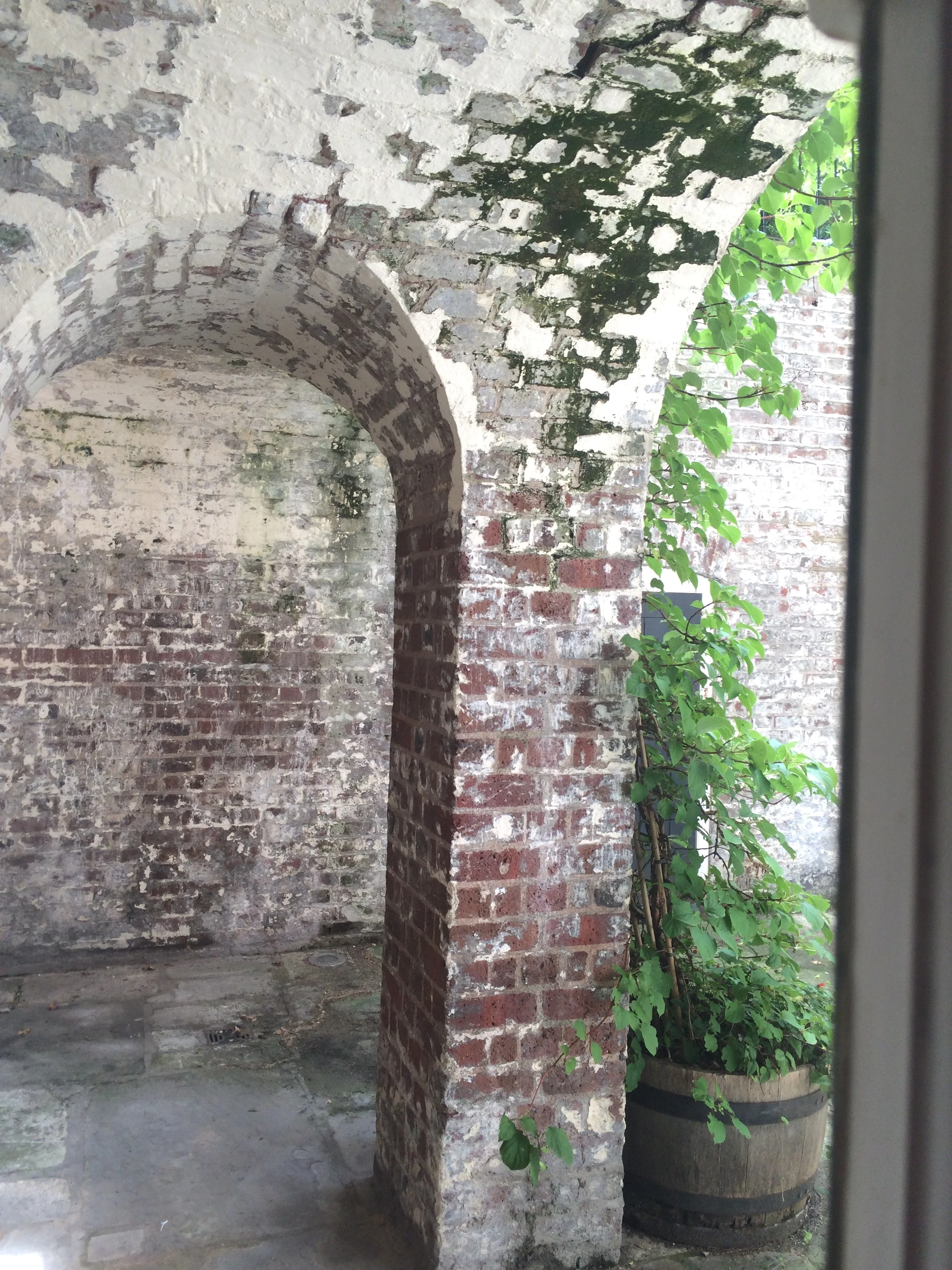 Rear Lower Ground Floor vaults