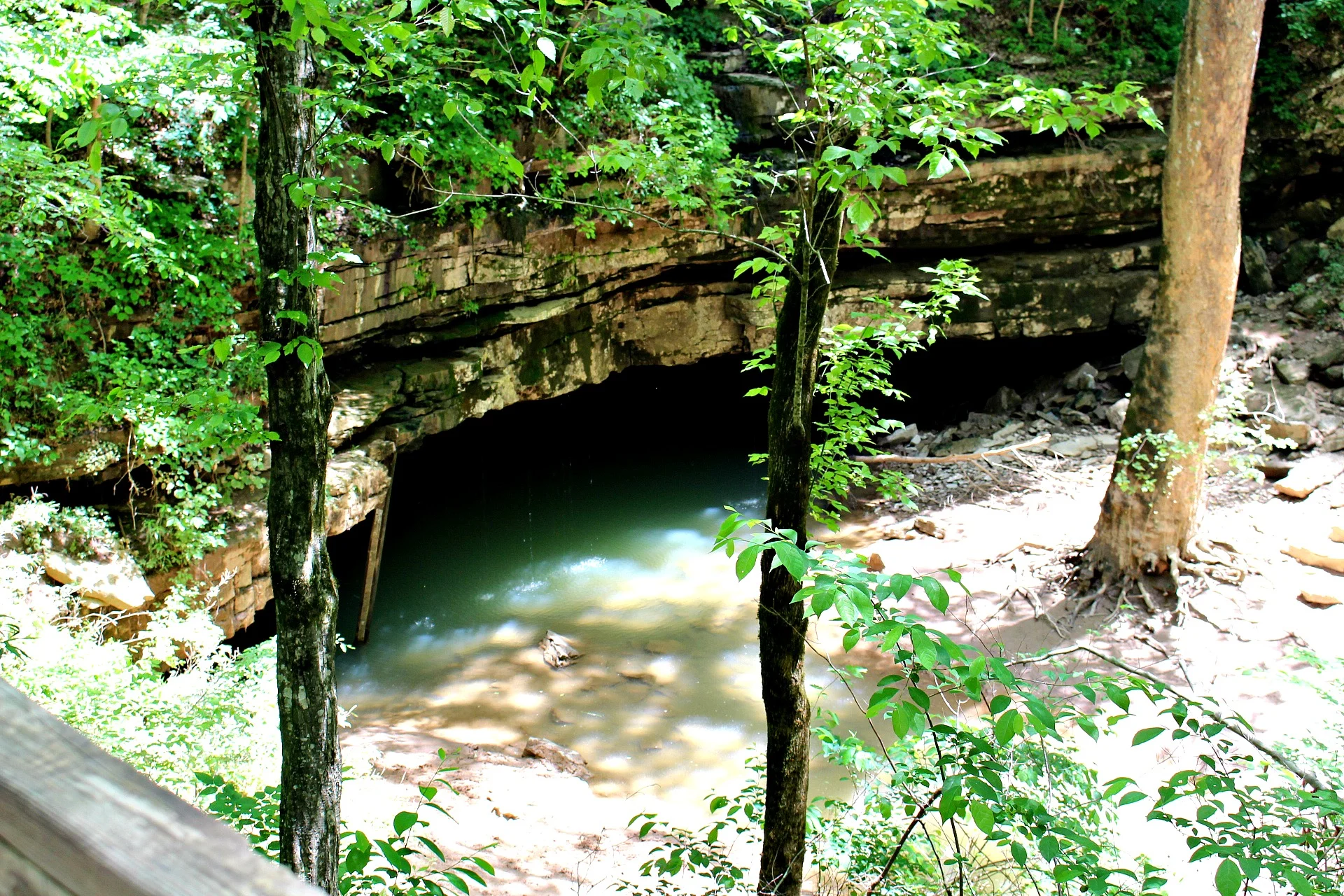 The trails around the Visitor Center offer many beautiful sights!