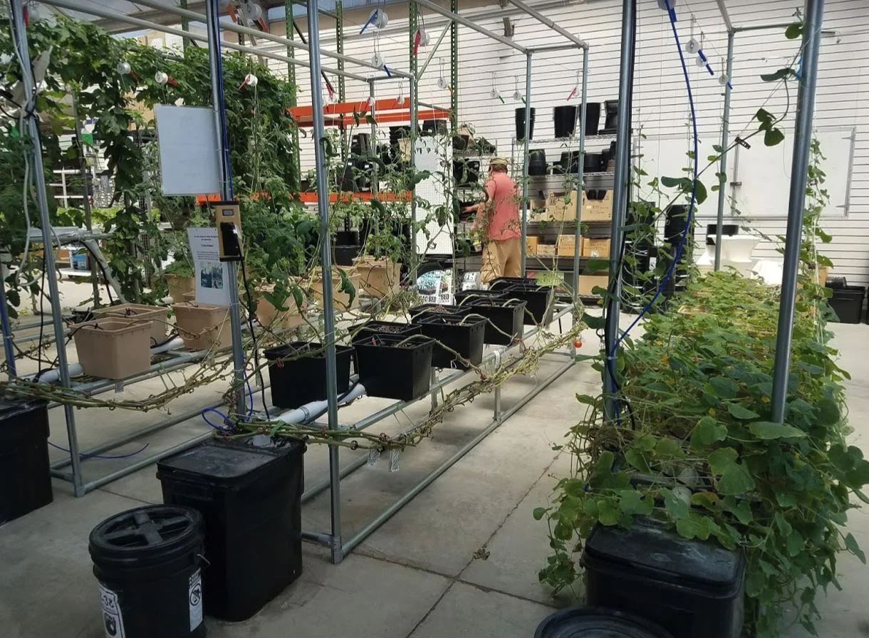 This is a setup at the local hydroponic store http://www.innovativehydroponicsupply.com/