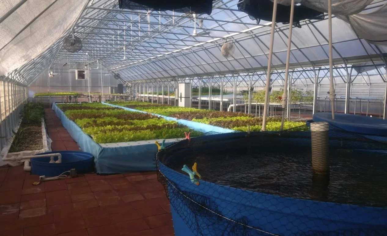 http://ecorichfarms.com/