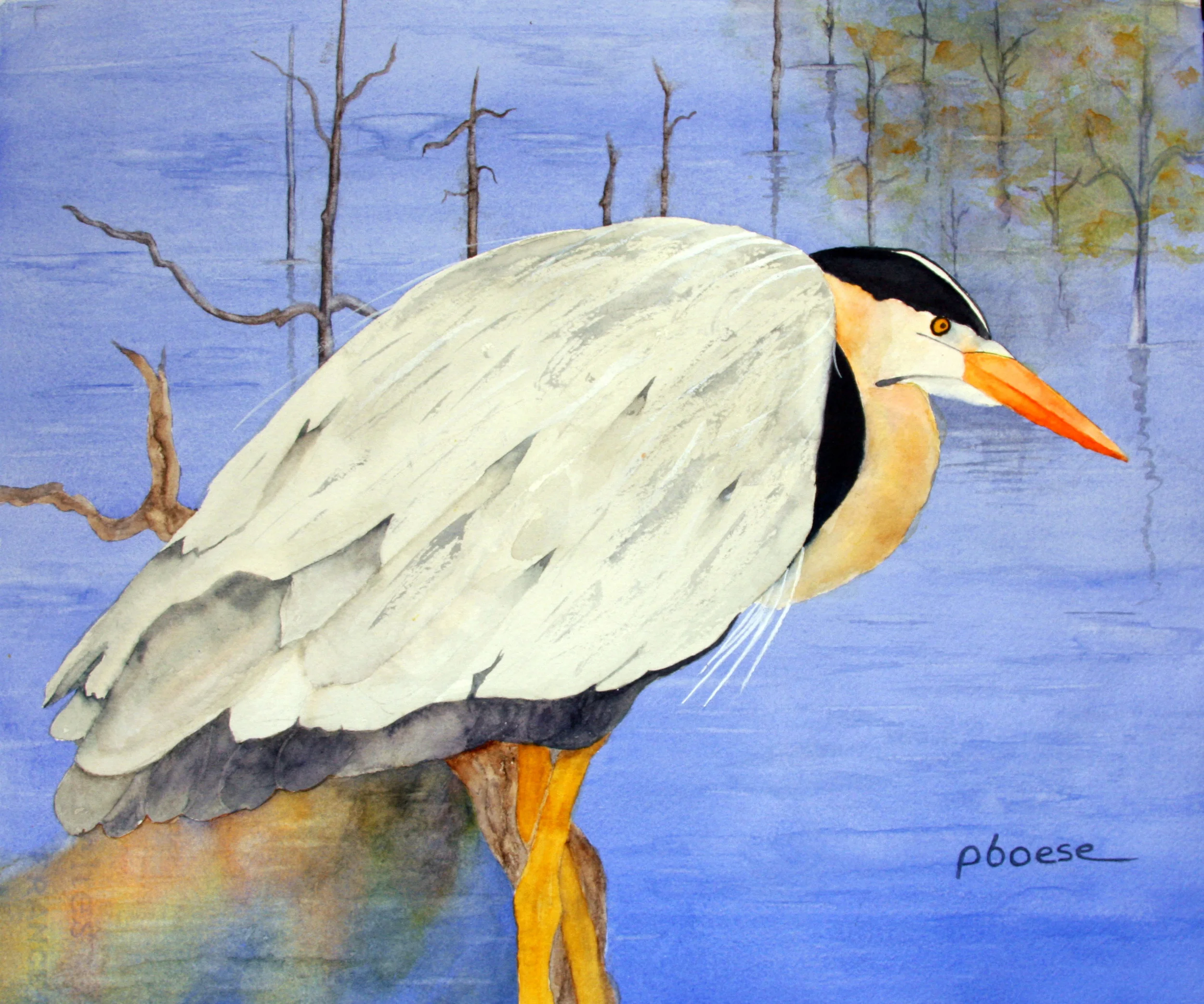 Heron at Sapsucker Woods.JPG