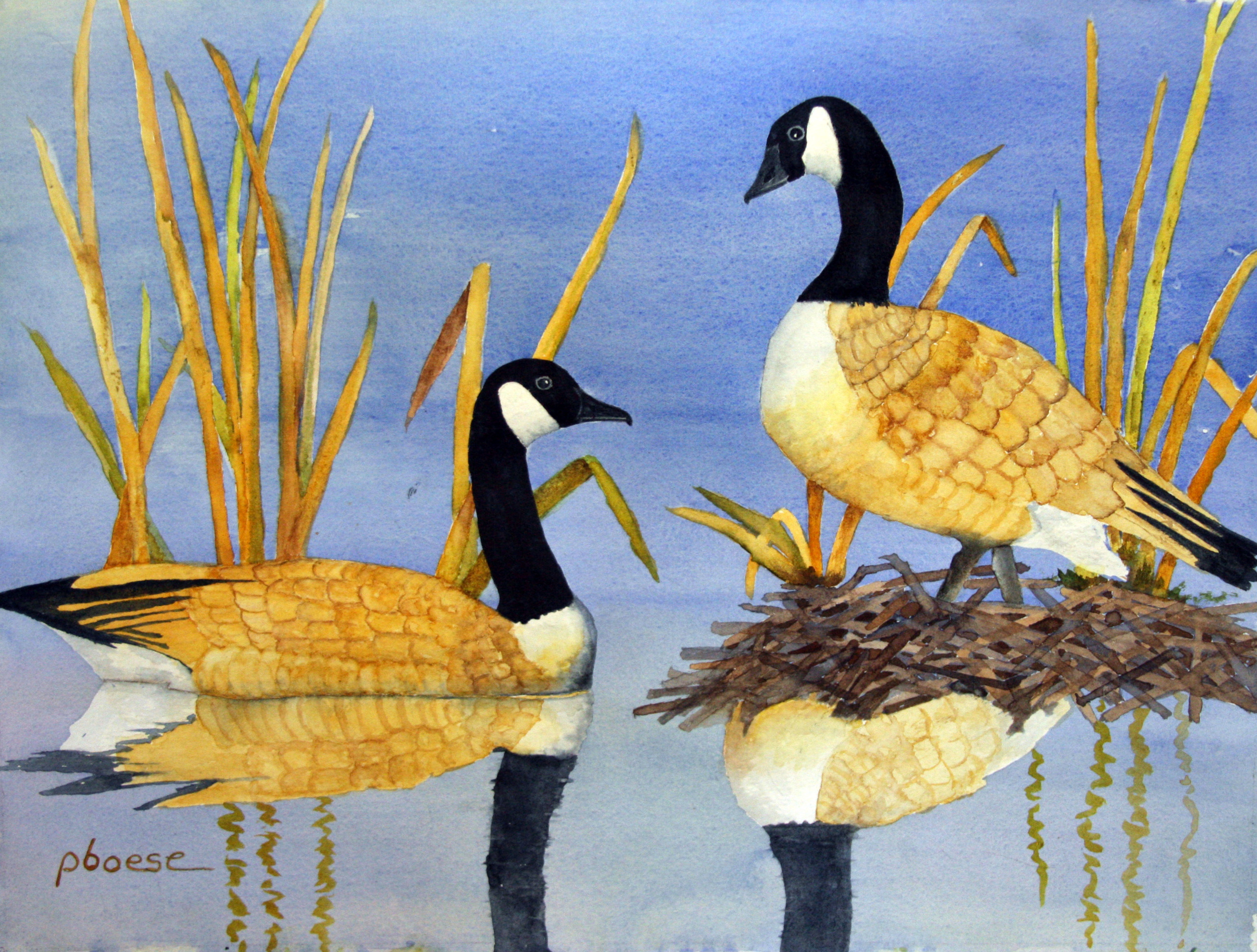 Geese on Beaver Meadow Pond.jpg