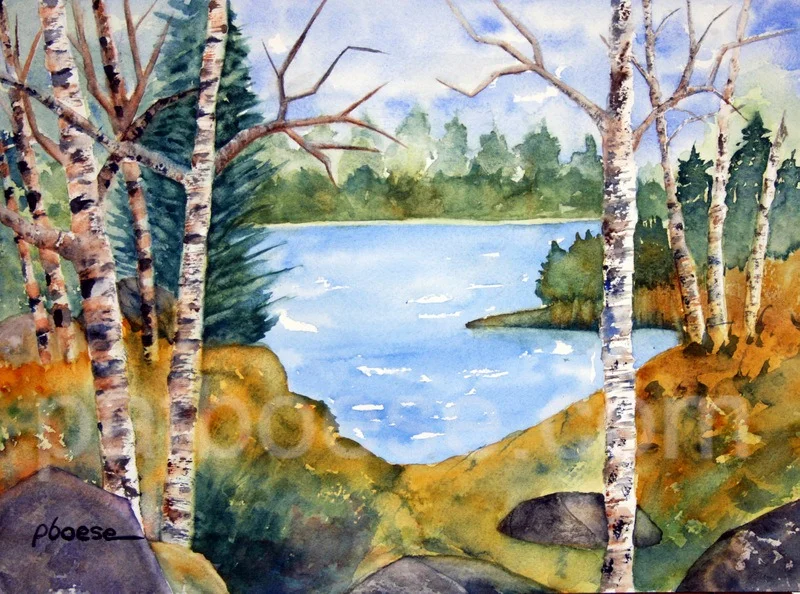 Silent Cove.jpg