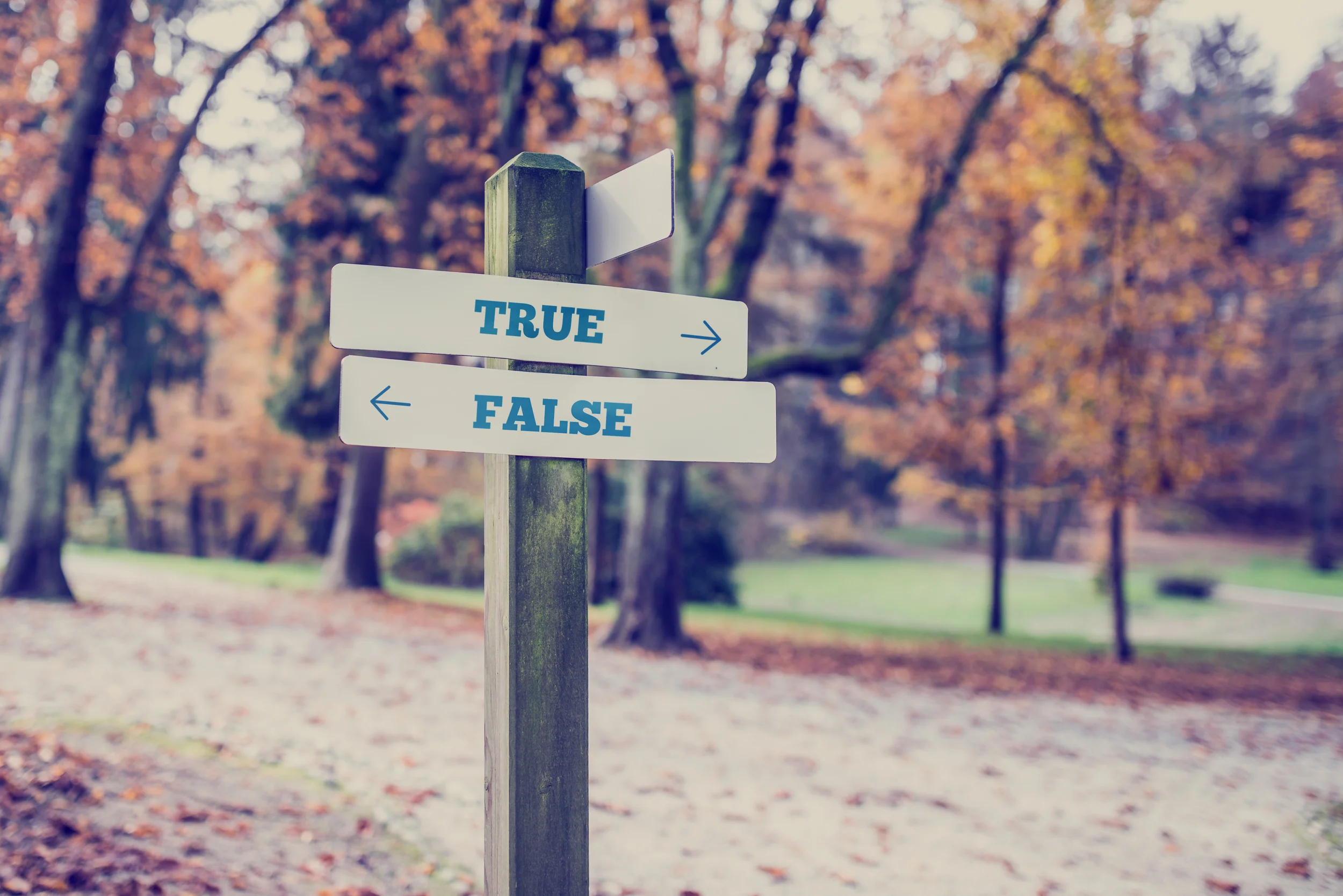 Why Some Agents are Afraid to Tell You the Truth