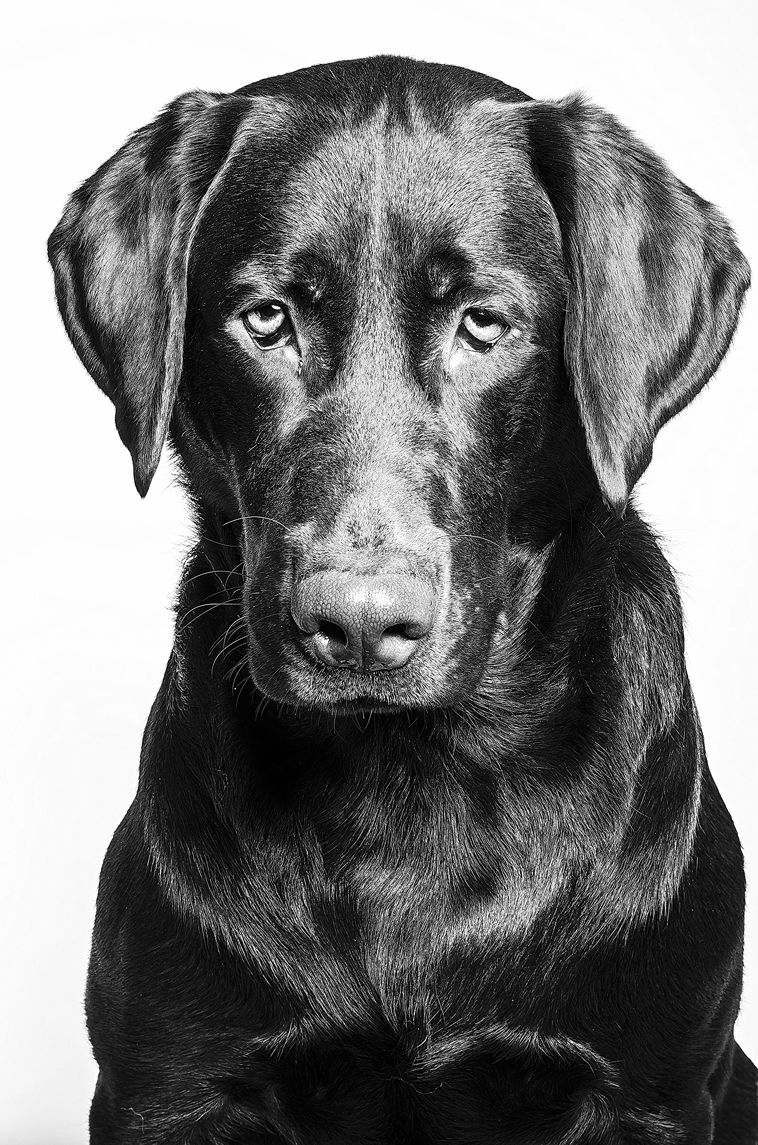 VICK