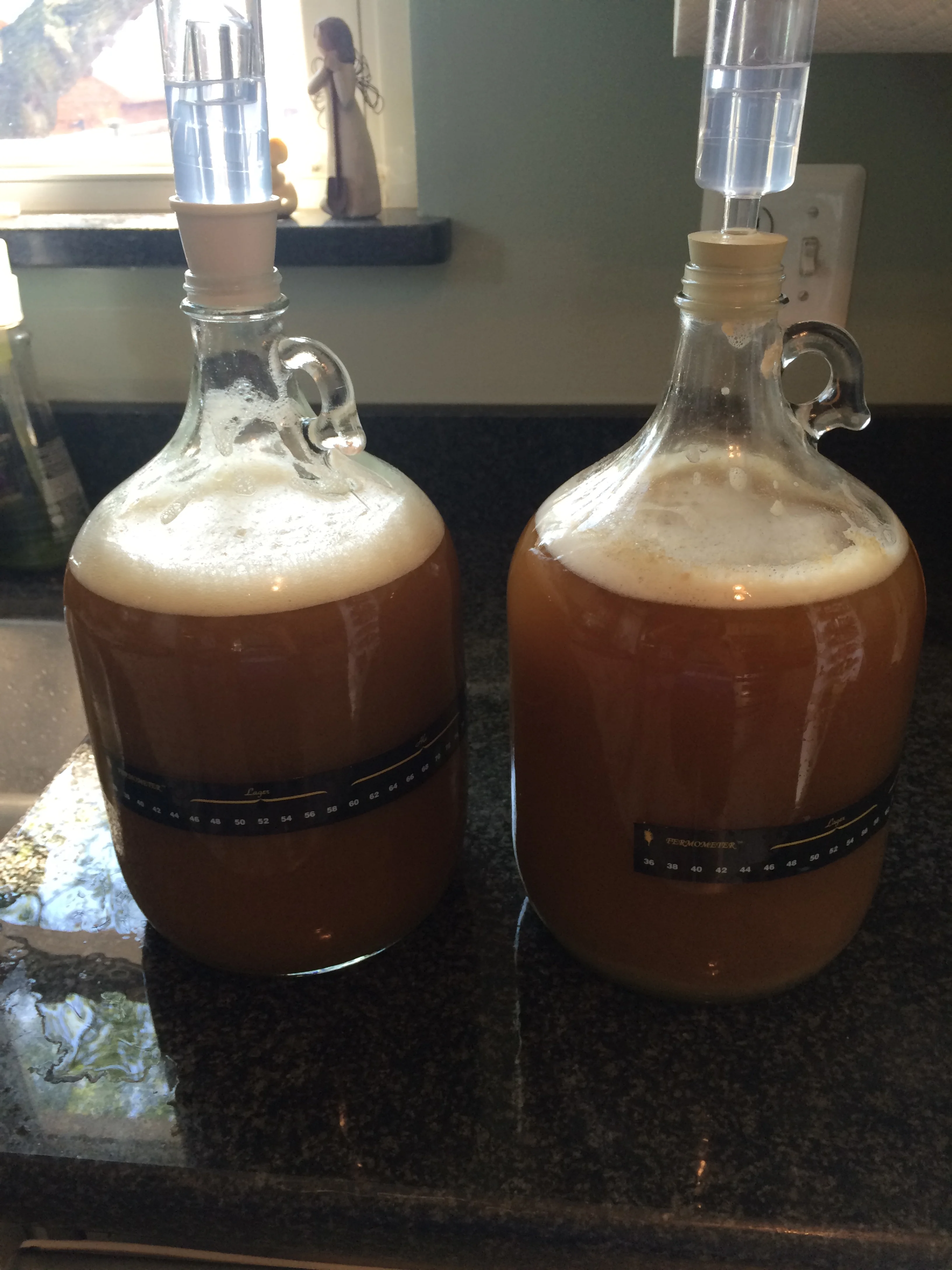 The twins ready to ferement away