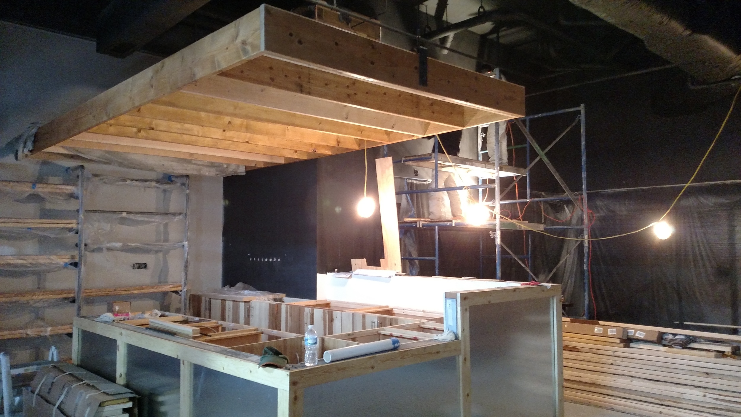 A hanging trellis, cabinets, and stainless counter front