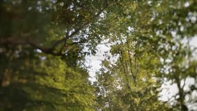 Oprah Winfrey's Master Class Season 4 Trailer