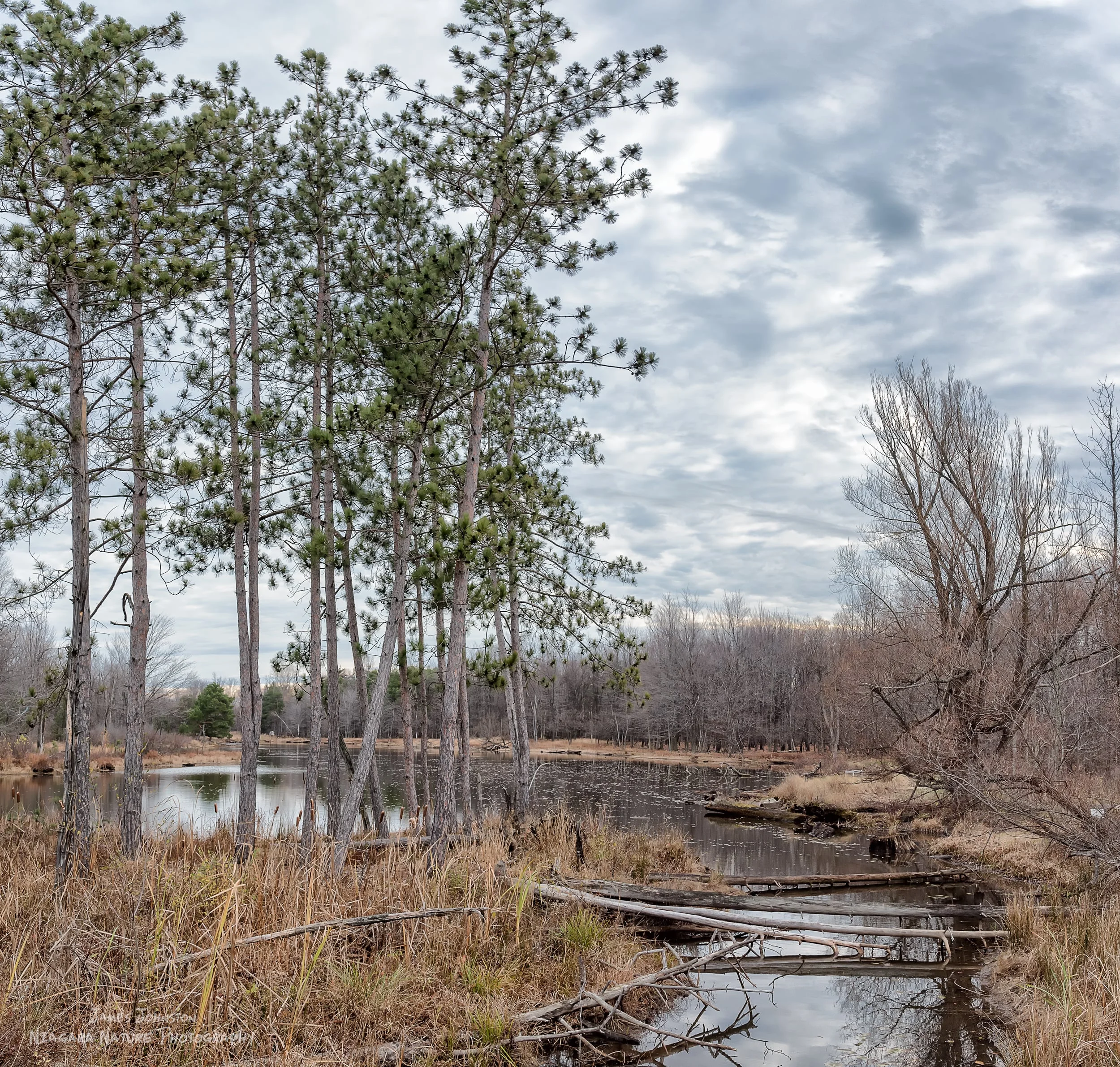 20151118-1.jpg
