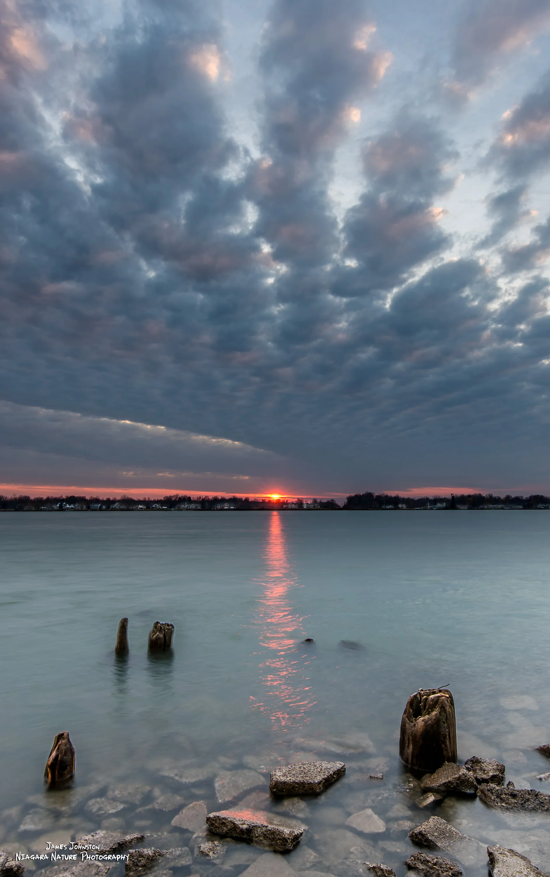 20160307-5.jpg